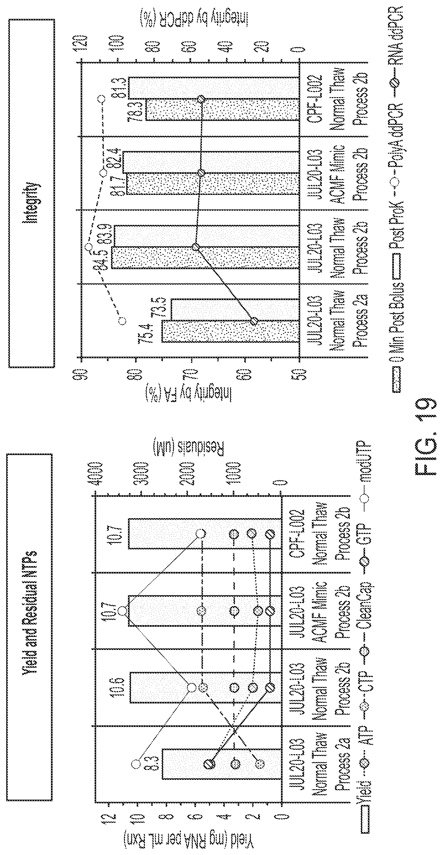 Patent US12305210 Figure 19 – In vitro transcription technologies