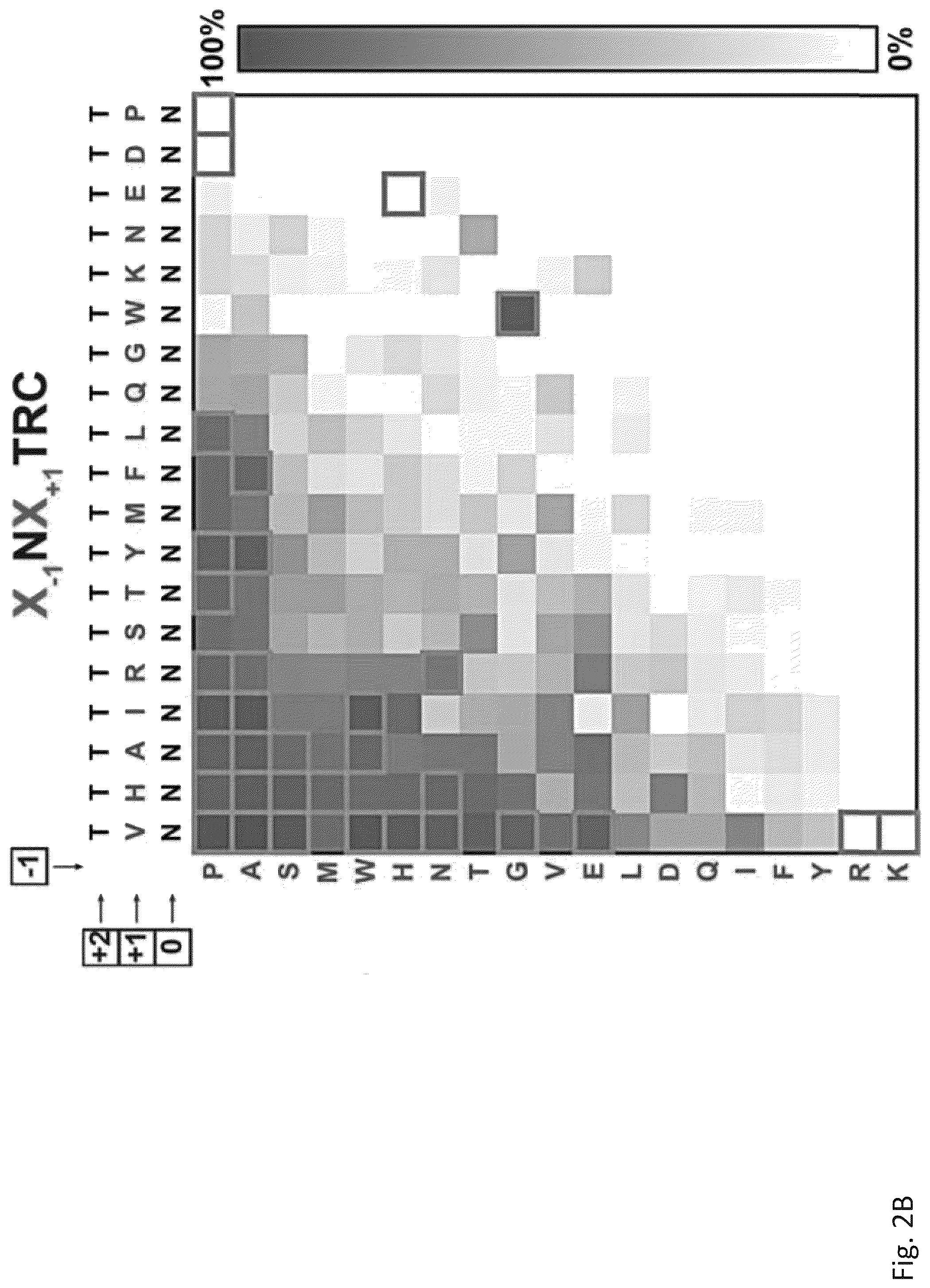 Patent US12305211 Figure 4 – Protein glycosylation sites by rapid expression and characterization of N-glycosyltransferases