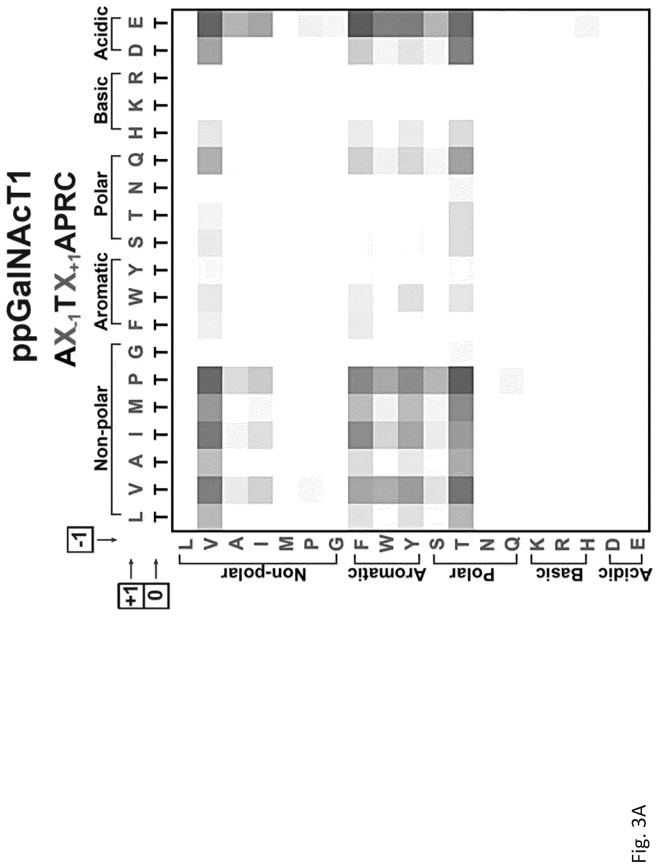 Patent US12305211 Figure 5 – Protein glycosylation sites by rapid expression and characterization of N-glycosyltransferases