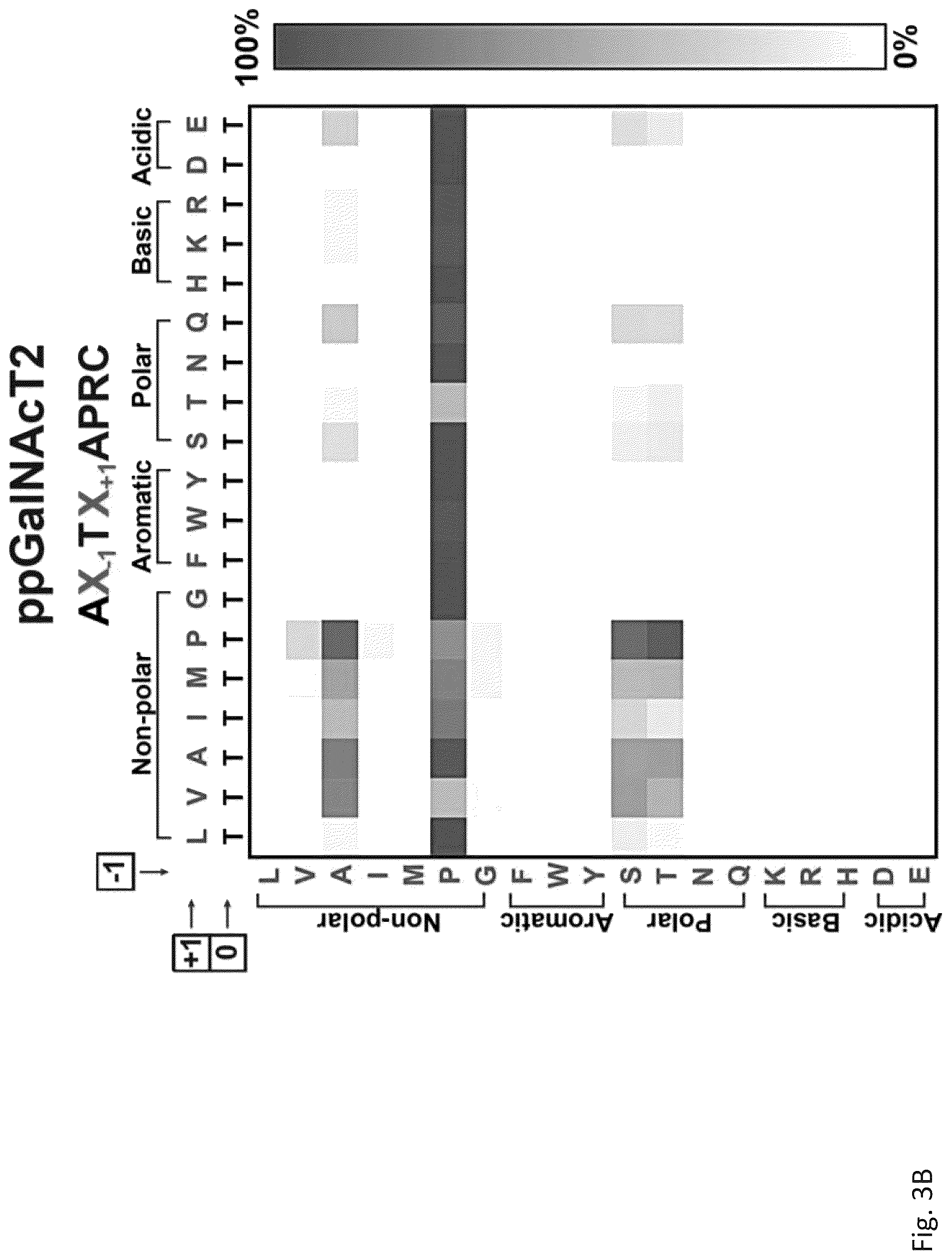 Patent US12305211 Figure 6 – Protein glycosylation sites by rapid expression and characterization of N-glycosyltransferases