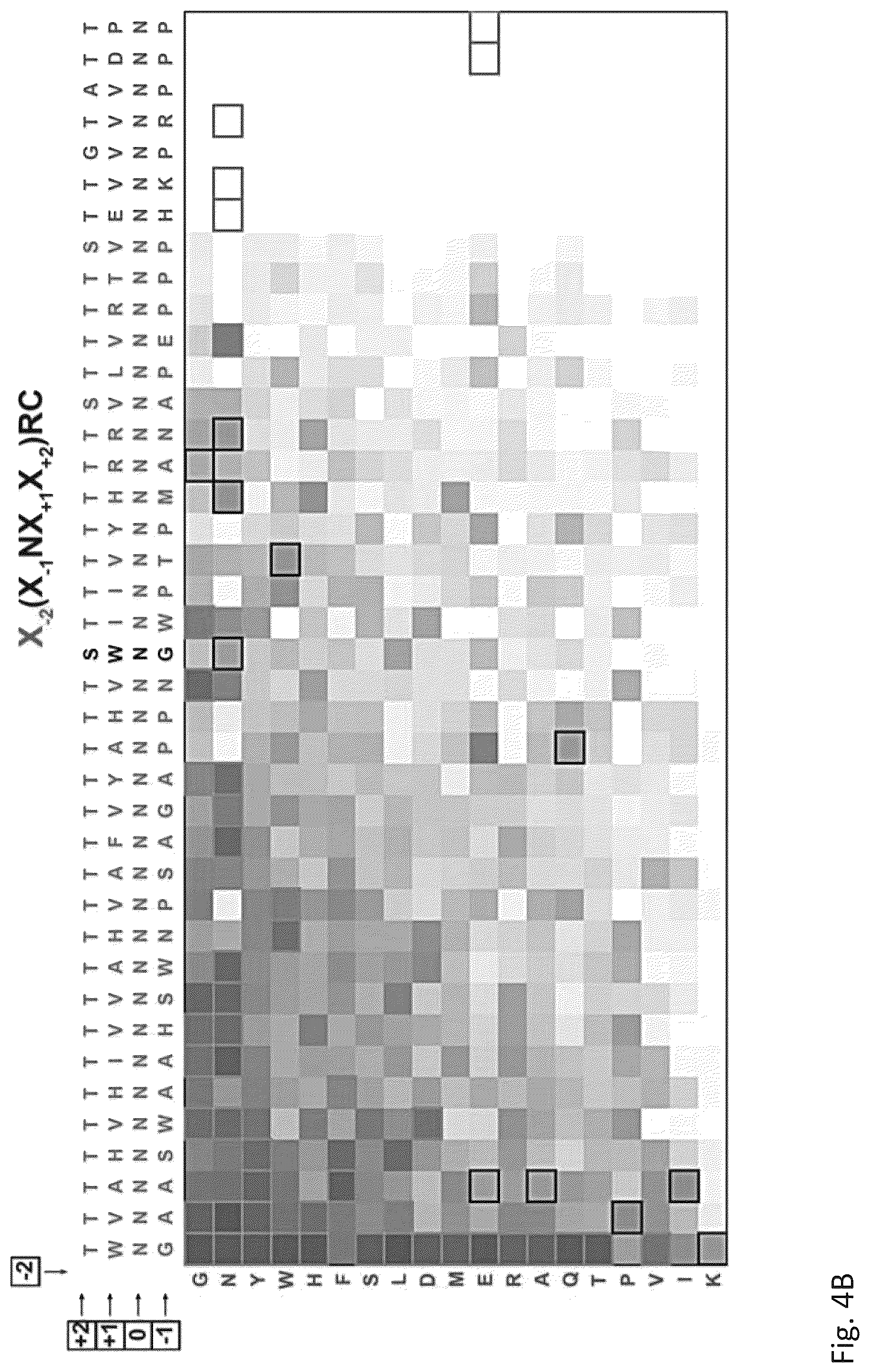 Patent US12305211 Figure 8 – Protein glycosylation sites by rapid expression and characterization of N-glycosyltransferases