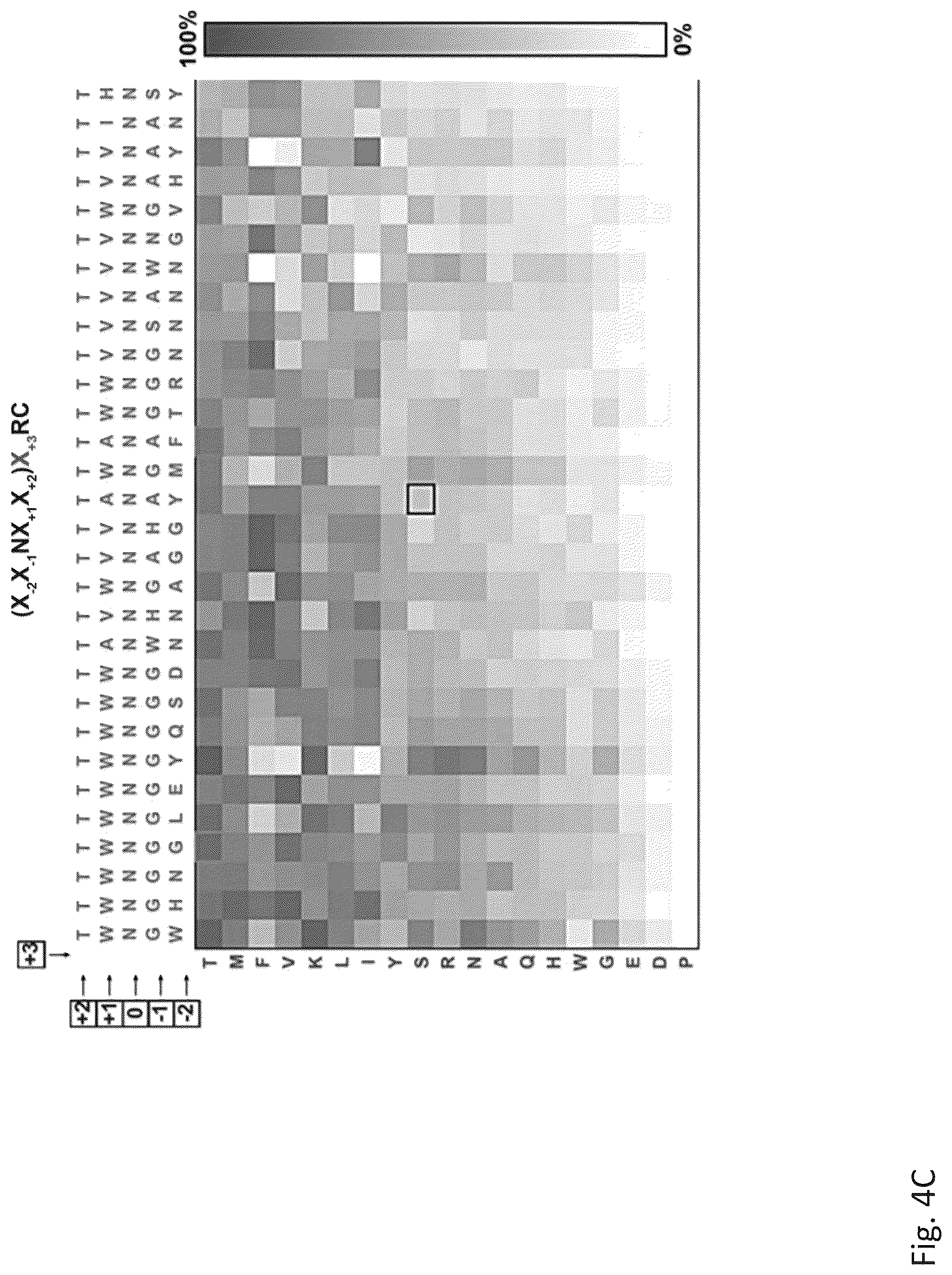 Patent US12305211 Figure 9 – Protein glycosylation sites by rapid expression and characterization of N-glycosyltransferases