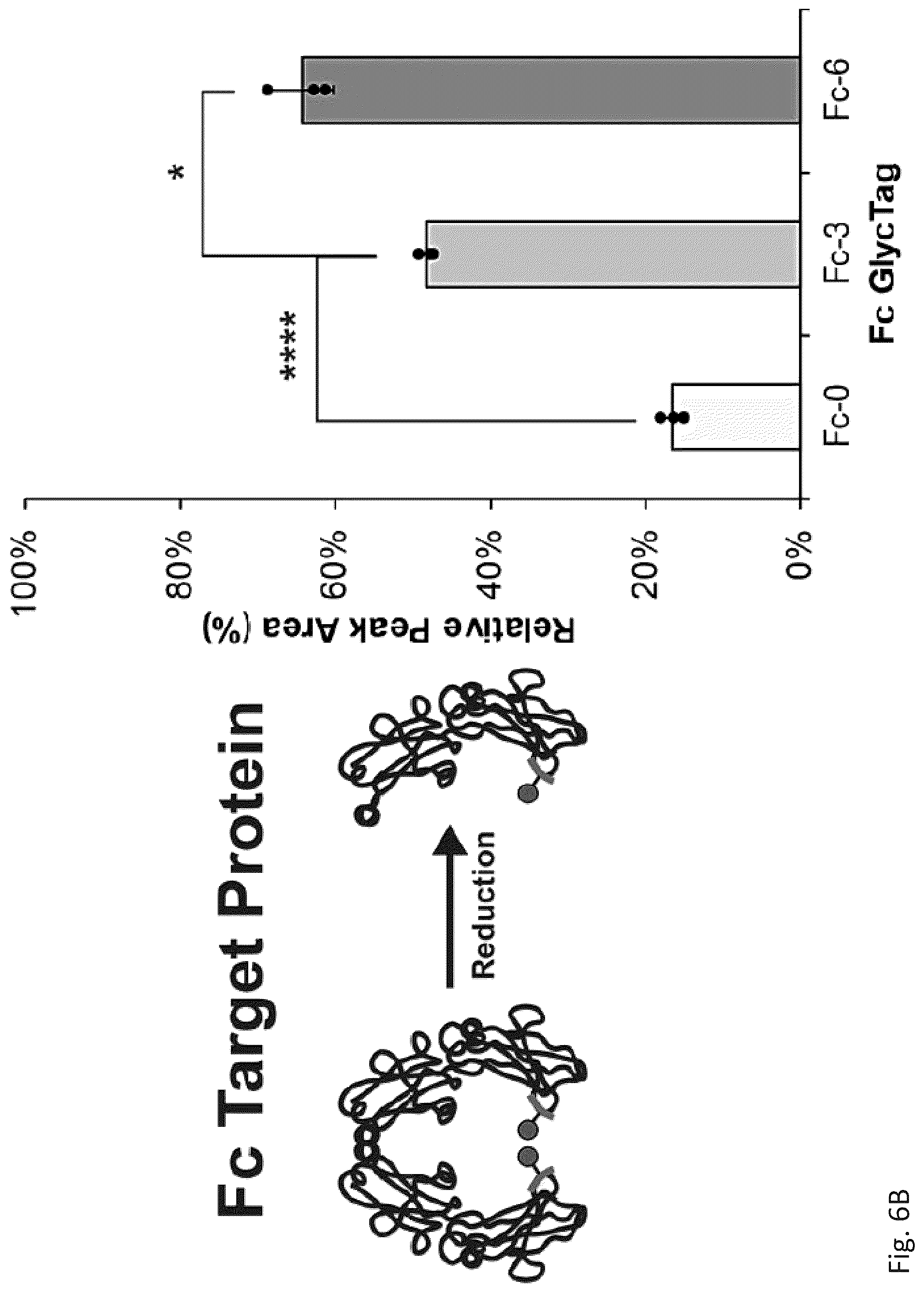 Patent US12305211 Figure 14 – Protein glycosylation sites by rapid expression and characterization of N-glycosyltransferases