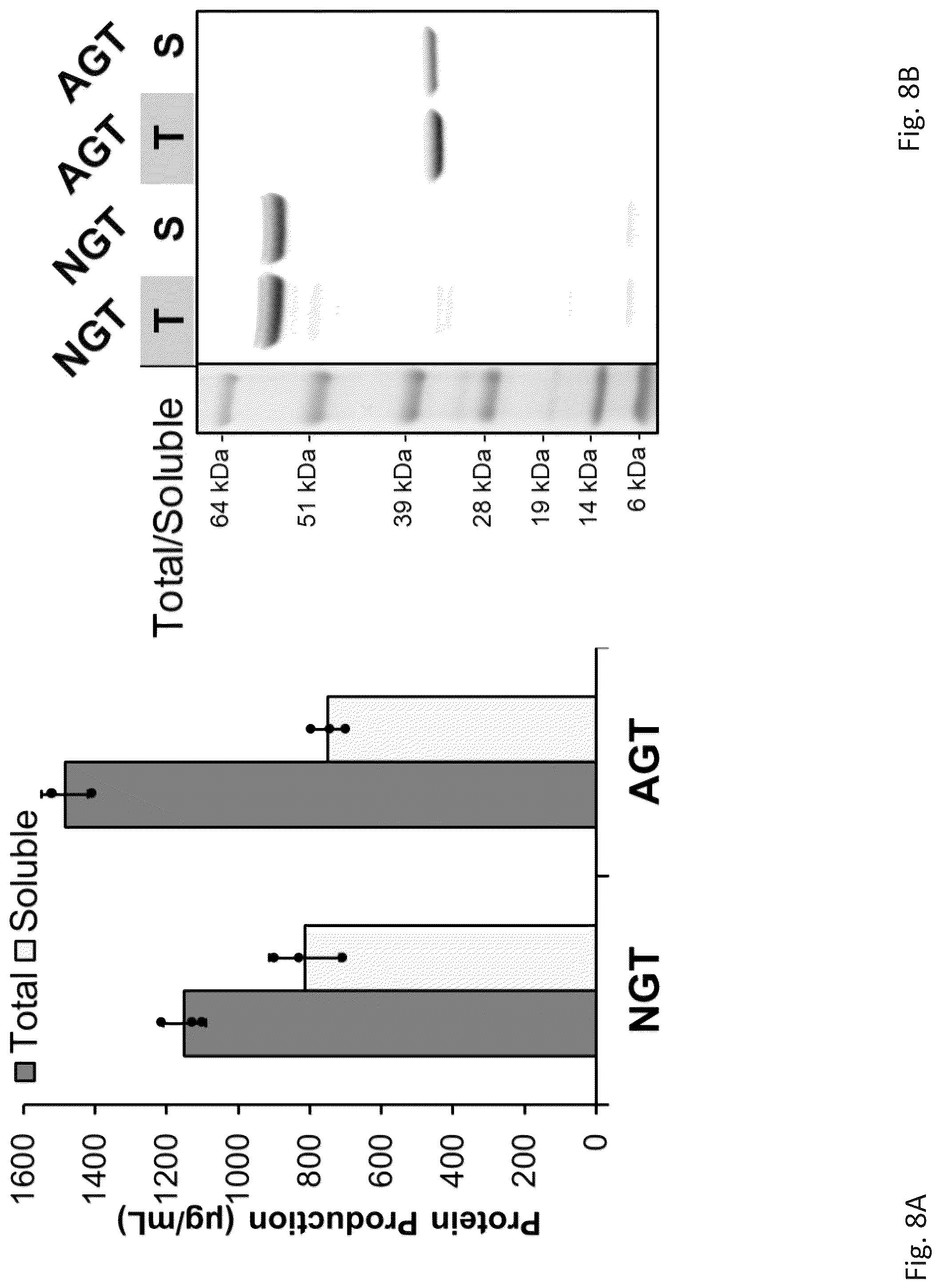 Patent US12305211 Figure 17 – Protein glycosylation sites by rapid expression and characterization of N-glycosyltransferases