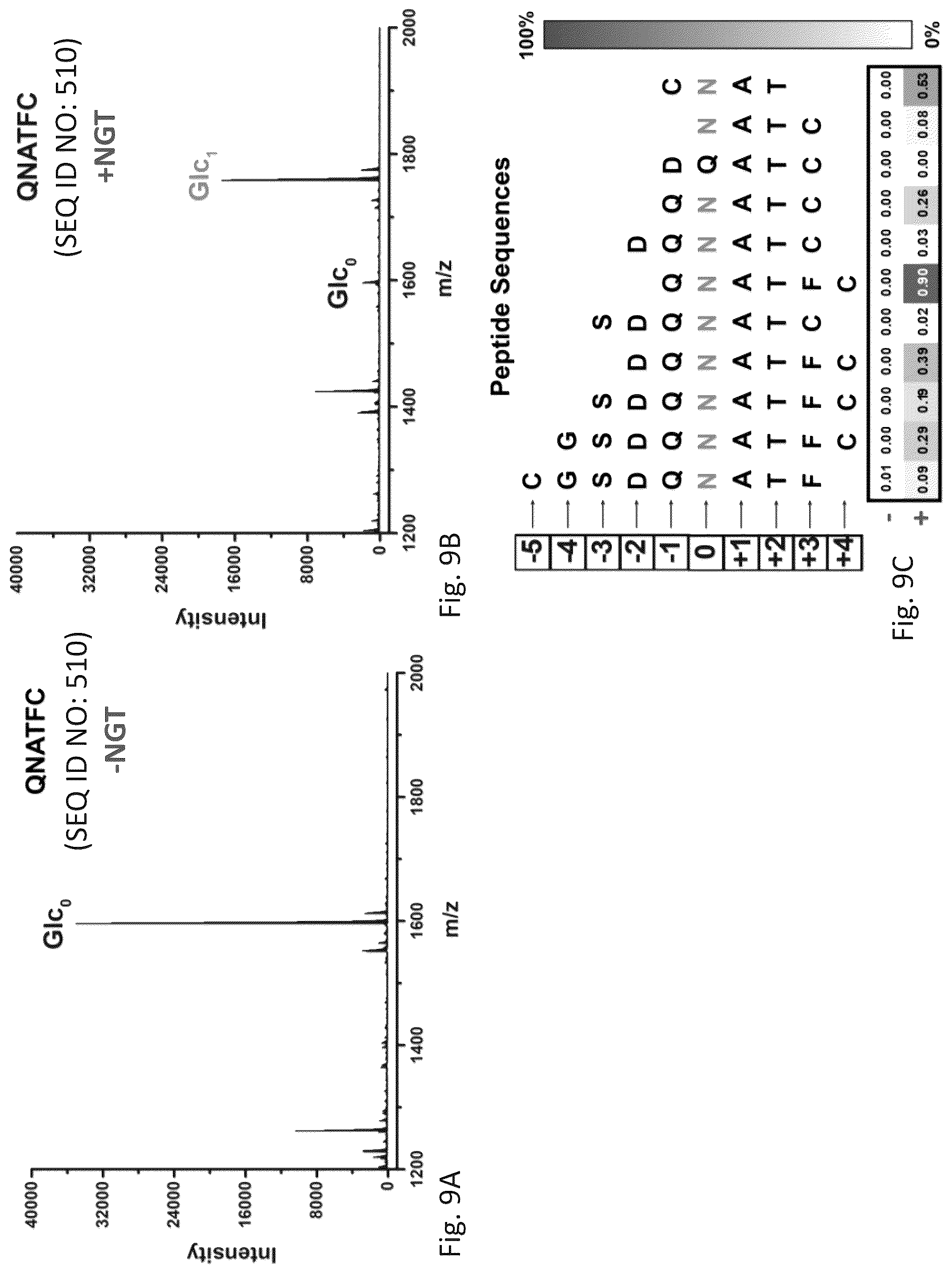 Patent US12305211 Figure 18 – Protein glycosylation sites by rapid expression and characterization of N-glycosyltransferases