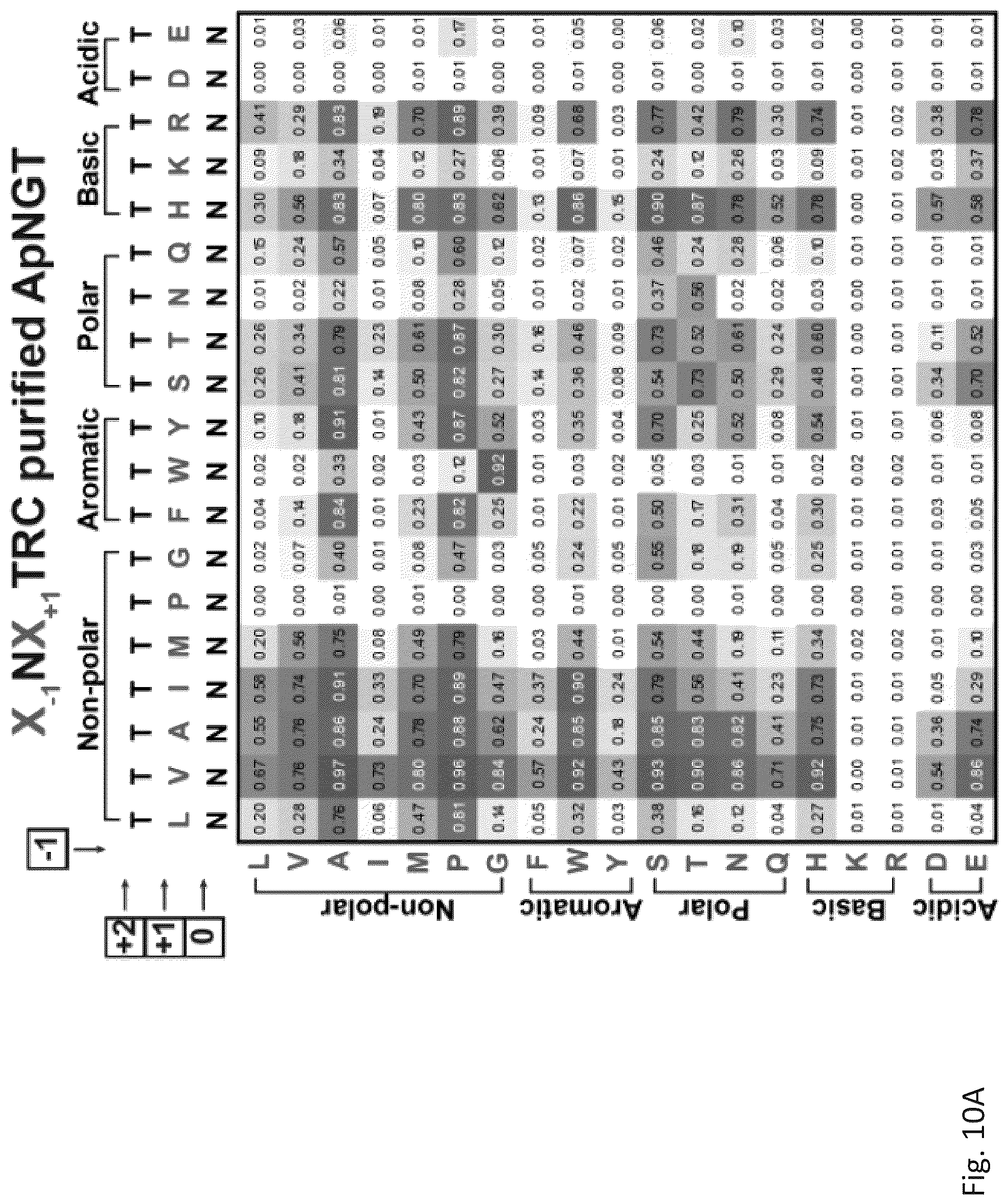 Patent US12305211 Figure 19 – Protein glycosylation sites by rapid expression and characterization of N-glycosyltransferases