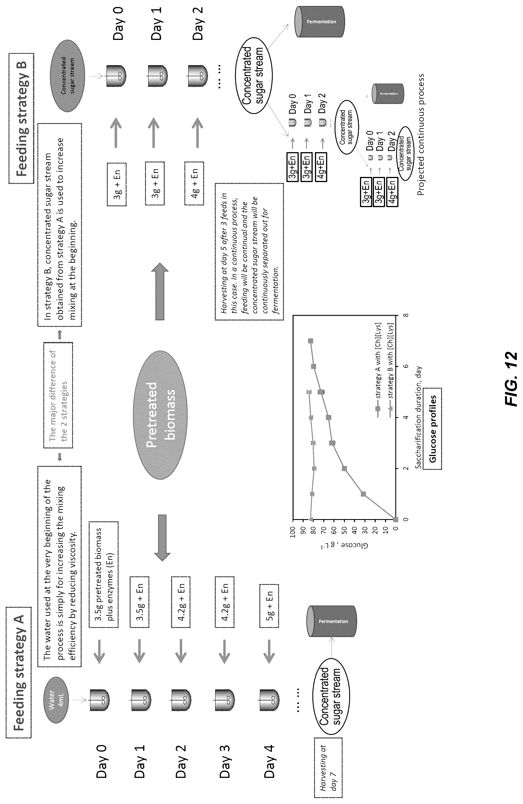 Patent US12305213 Figure 12 – High gravity, fed-batch ionic liquid based process for deconstructing biomass
