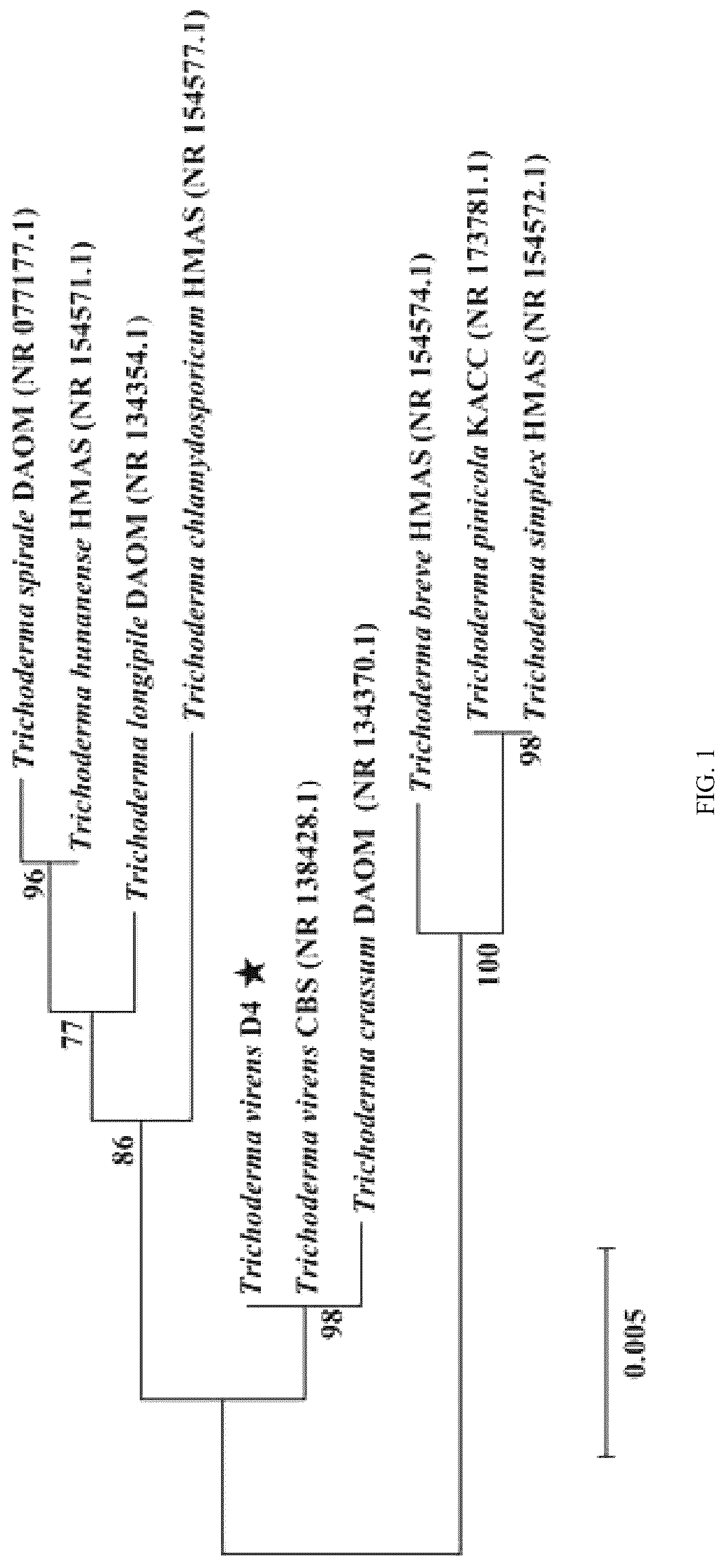 Patent US12305216 Figure 1 – Method for selecting aerobic denitrifying fungus and method for remediating water body with low carbon-to-nitrogen ratio using aerobic denitrifying fungus