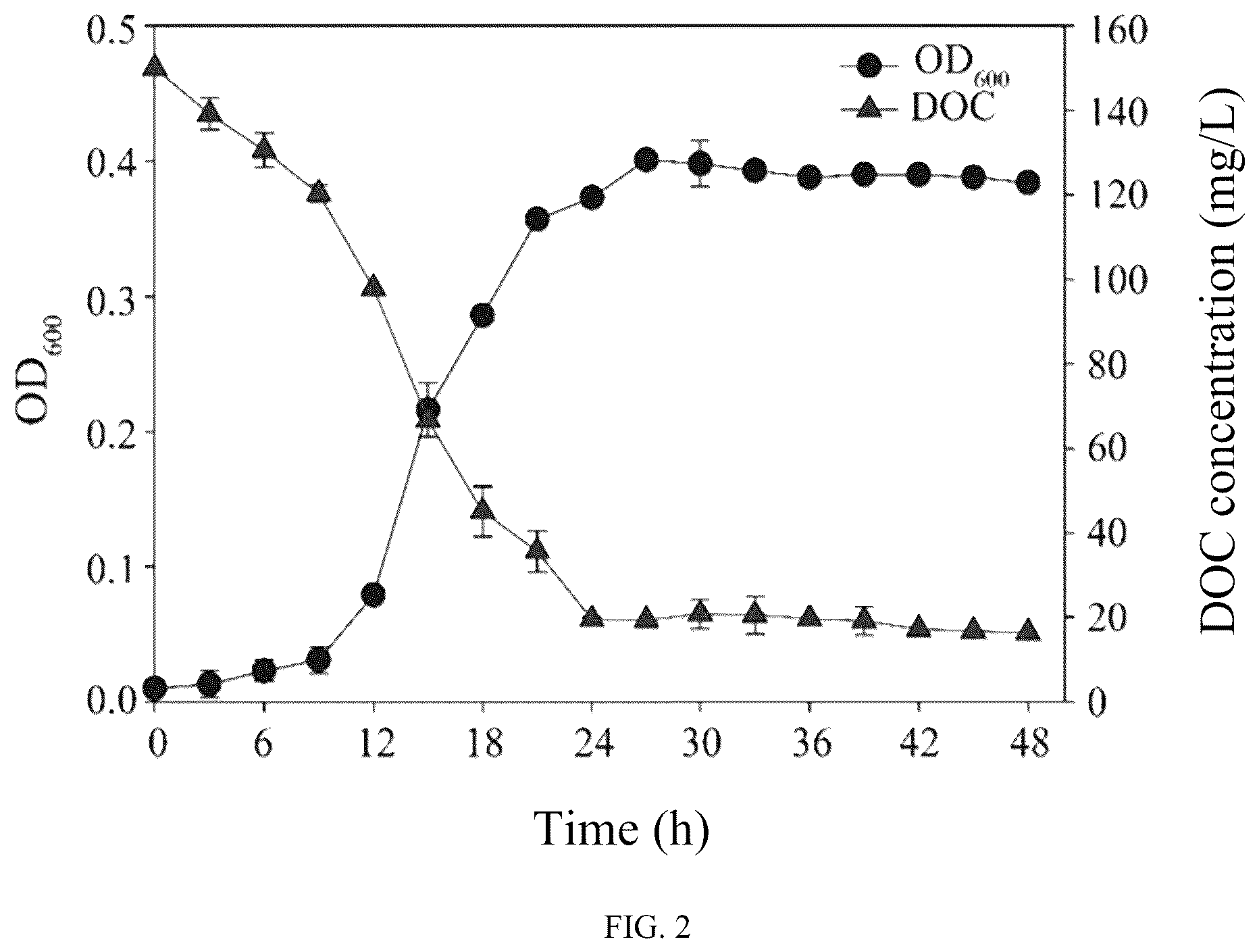 Patent US12305216 Figure 2 – Method for selecting aerobic denitrifying fungus and method for remediating water body with low carbon-to-nitrogen ratio using aerobic denitrifying fungus