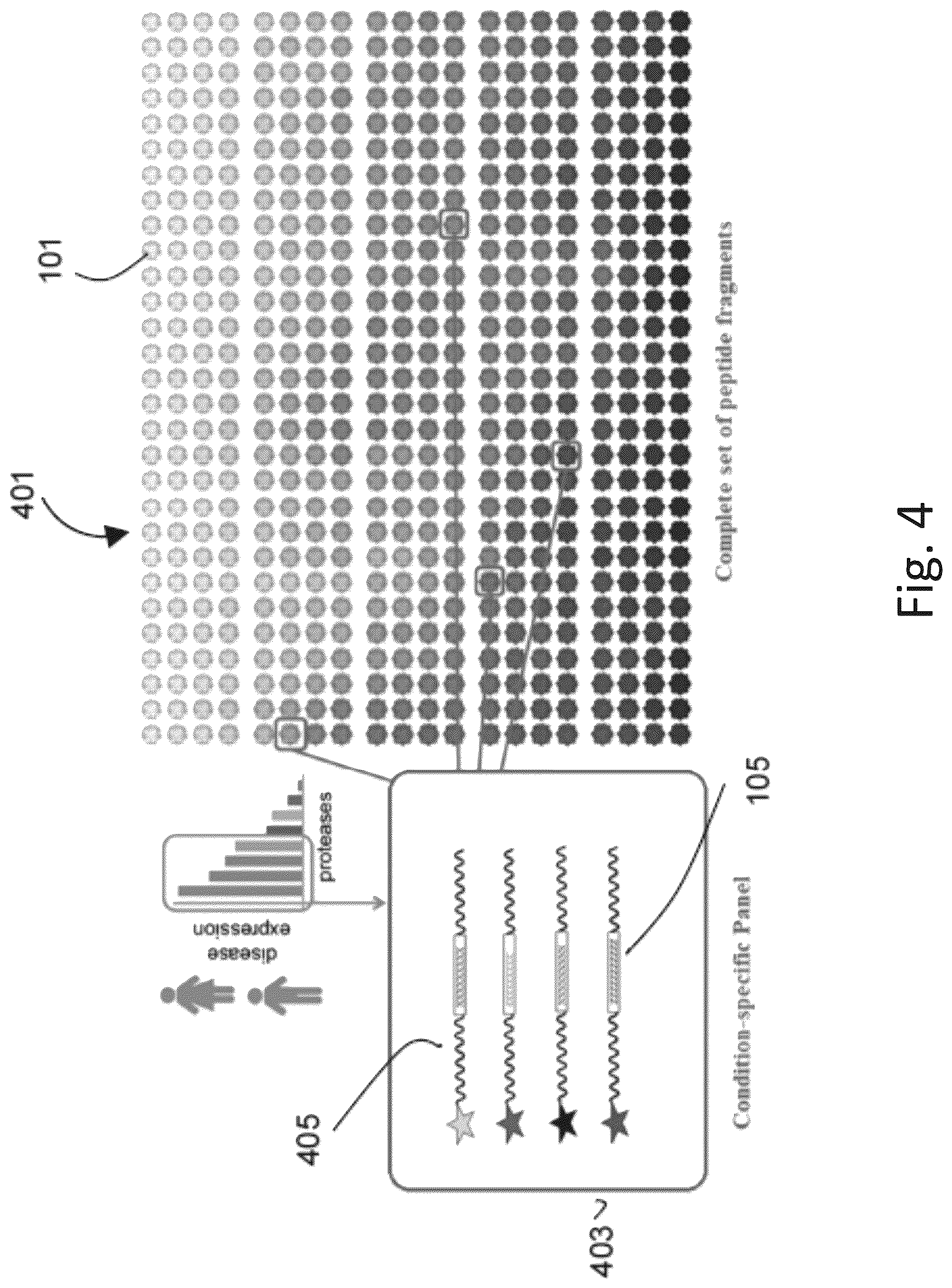 Patent US12305217 Figure 4 – Ex vivo protease activity detection for disease detection/diagnostic, staging, monitoring and treatment