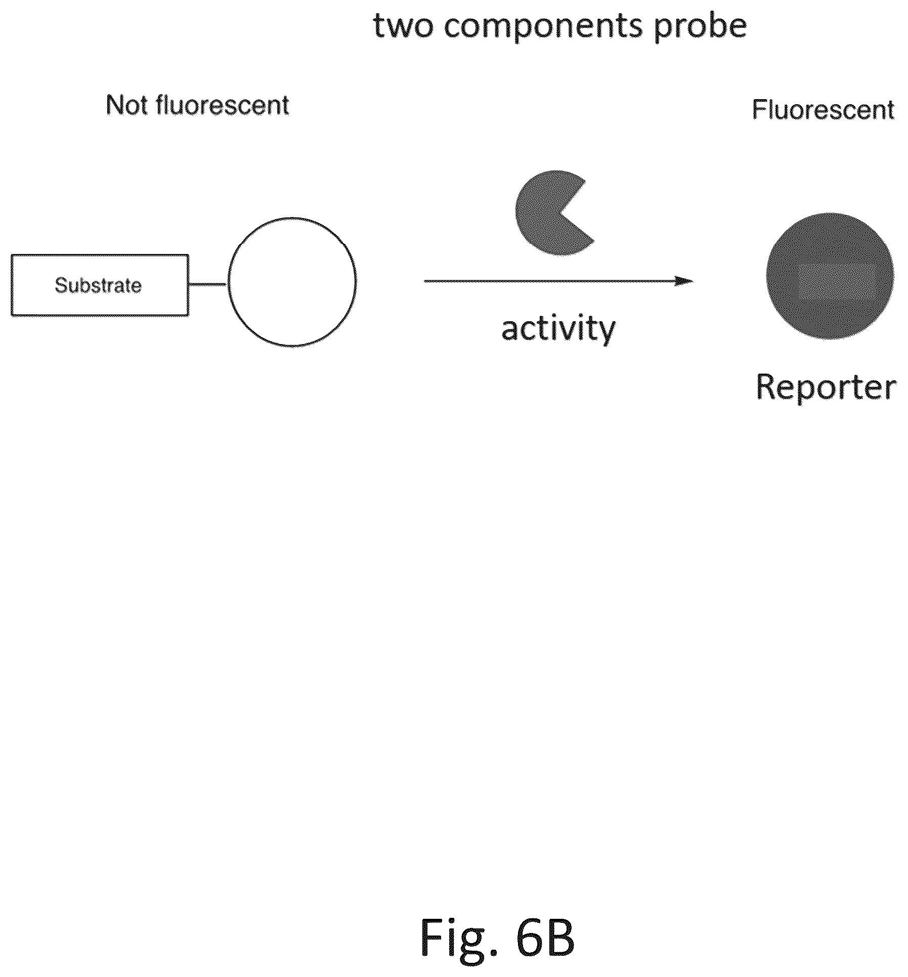 Patent US12305217 Figure 7 – Ex vivo protease activity detection for disease detection/diagnostic, staging, monitoring and treatment