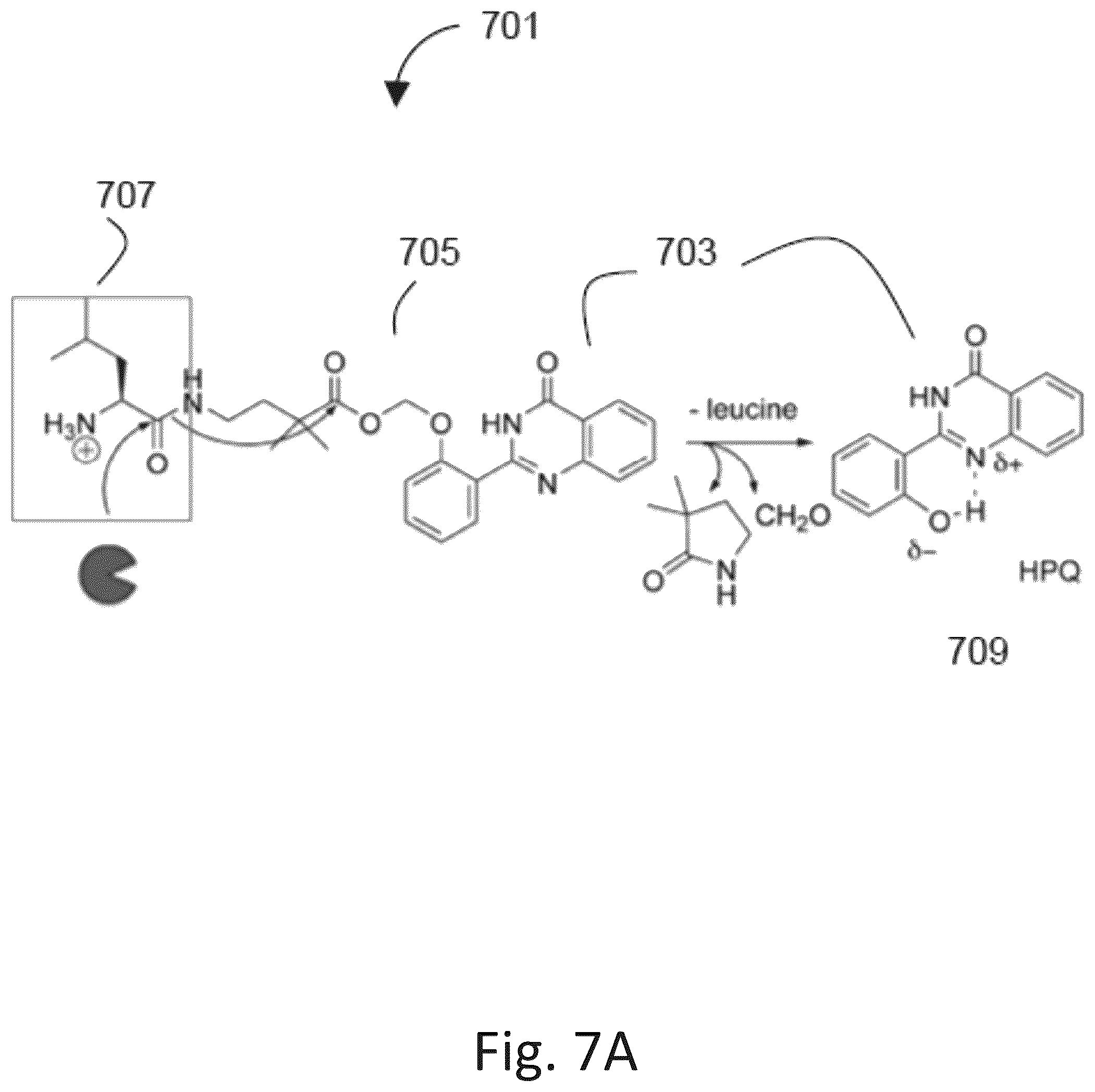 Patent US12305217 Figure 9 – Ex vivo protease activity detection for disease detection/diagnostic, staging, monitoring and treatment