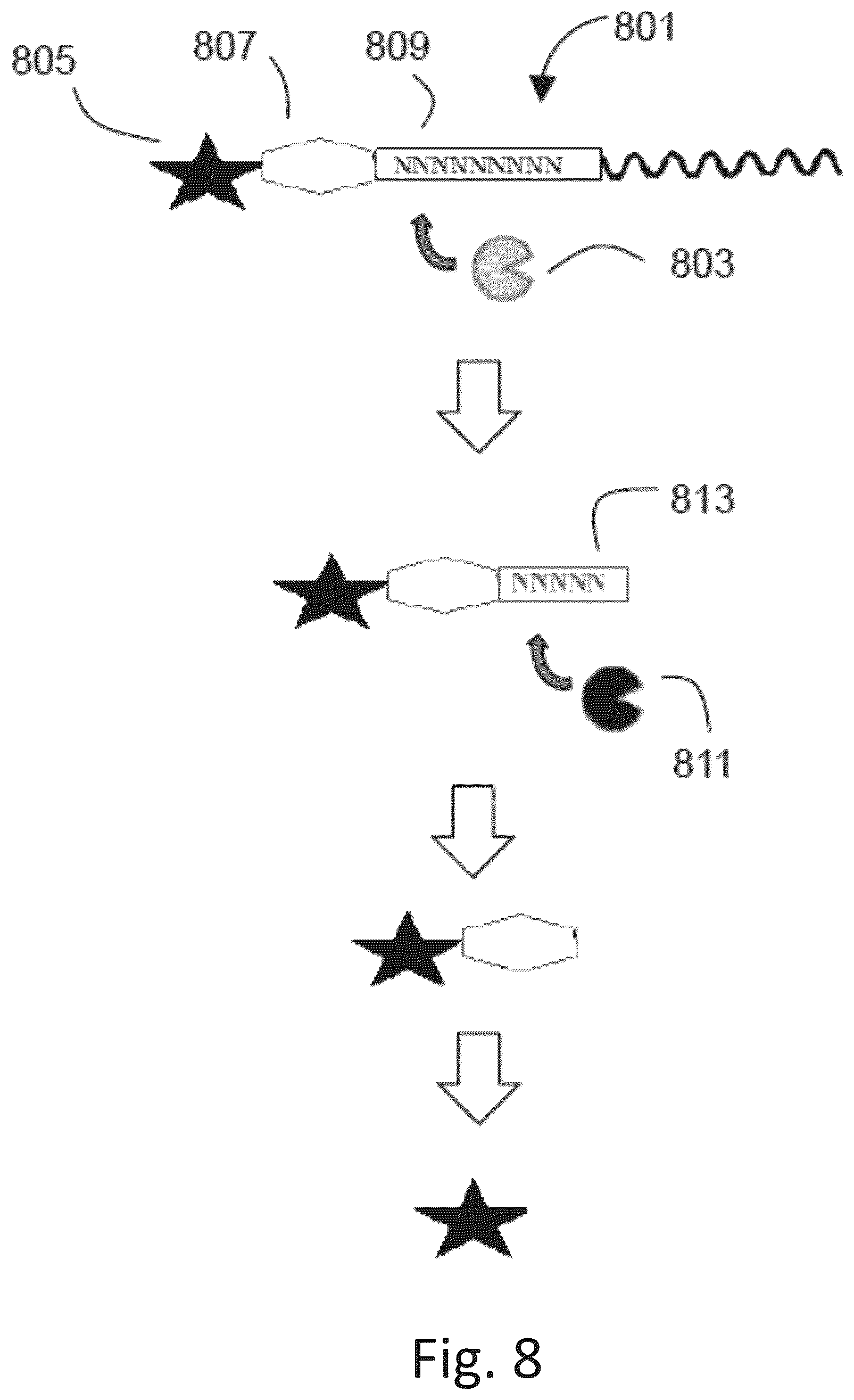 Patent US12305217 Figure 12 – Ex vivo protease activity detection for disease detection/diagnostic, staging, monitoring and treatment