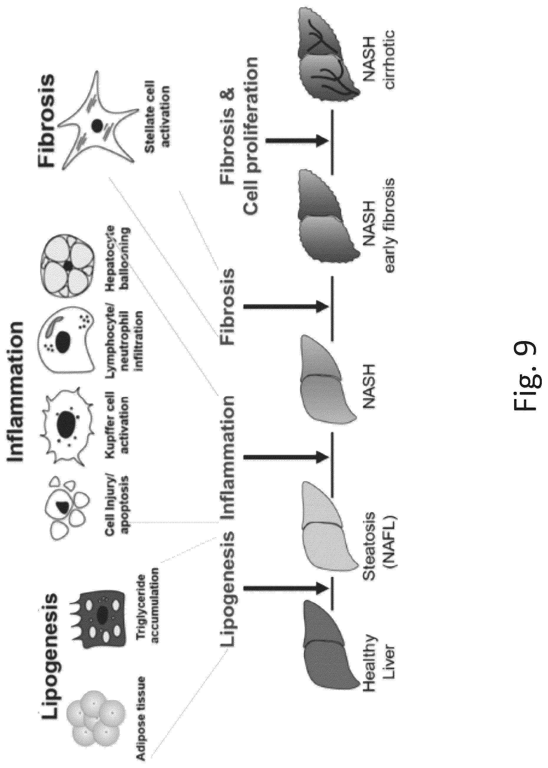 Patent US12305217 Figure 13 – Ex vivo protease activity detection for disease detection/diagnostic, staging, monitoring and treatment