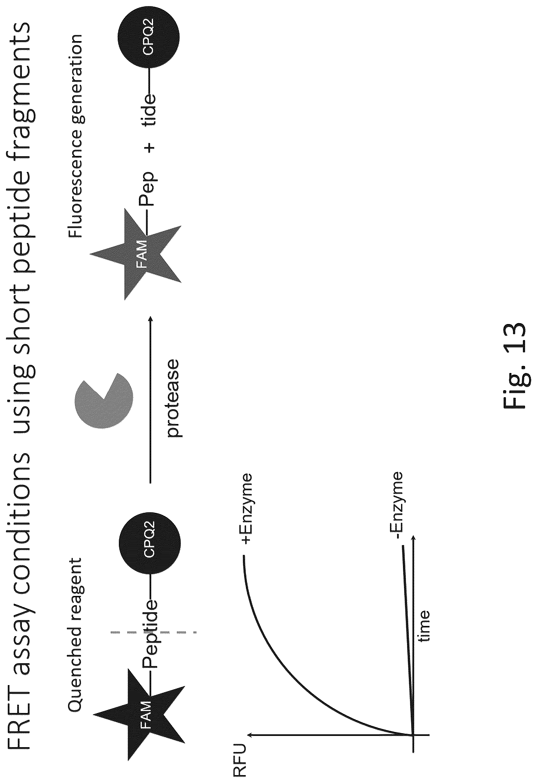 Patent US12305217 Figure 17 – Ex vivo protease activity detection for disease detection/diagnostic, staging, monitoring and treatment