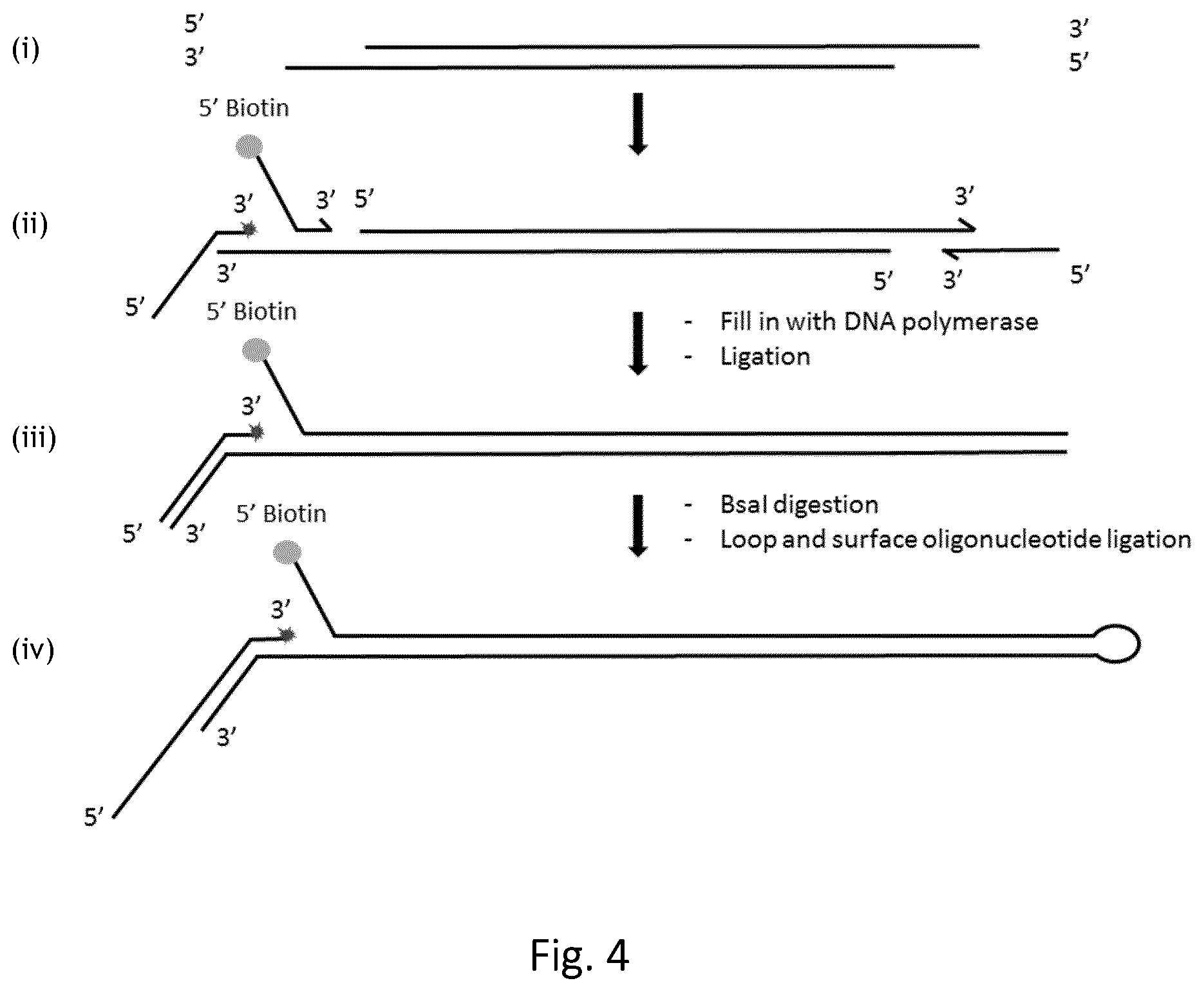 Patent US12305218 Figure 5 – Optimization of in vitro isolation of nucleic acids using site-specific nucleases