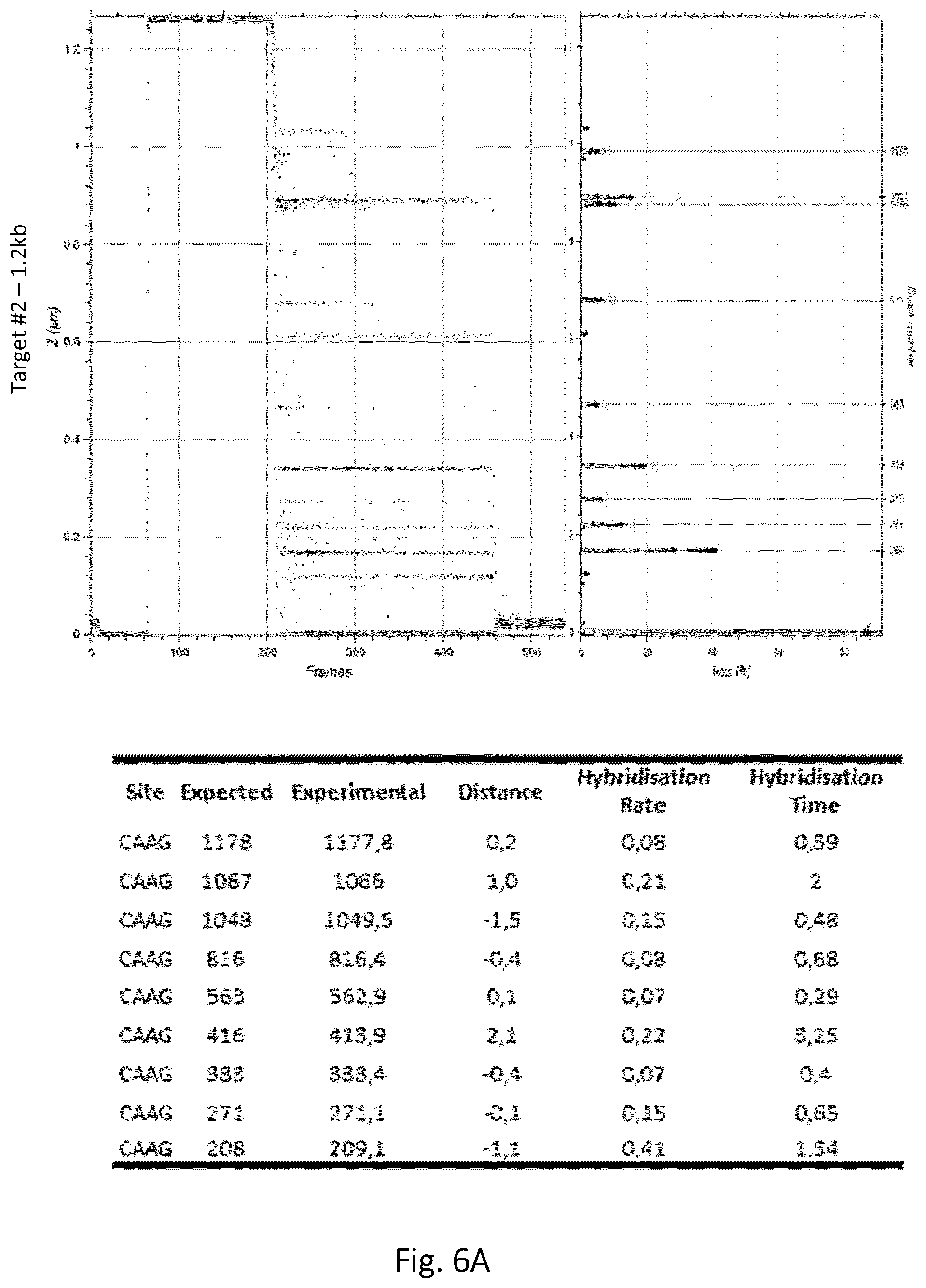 Patent US12305218 Figure 8 – Optimization of in vitro isolation of nucleic acids using site-specific nucleases