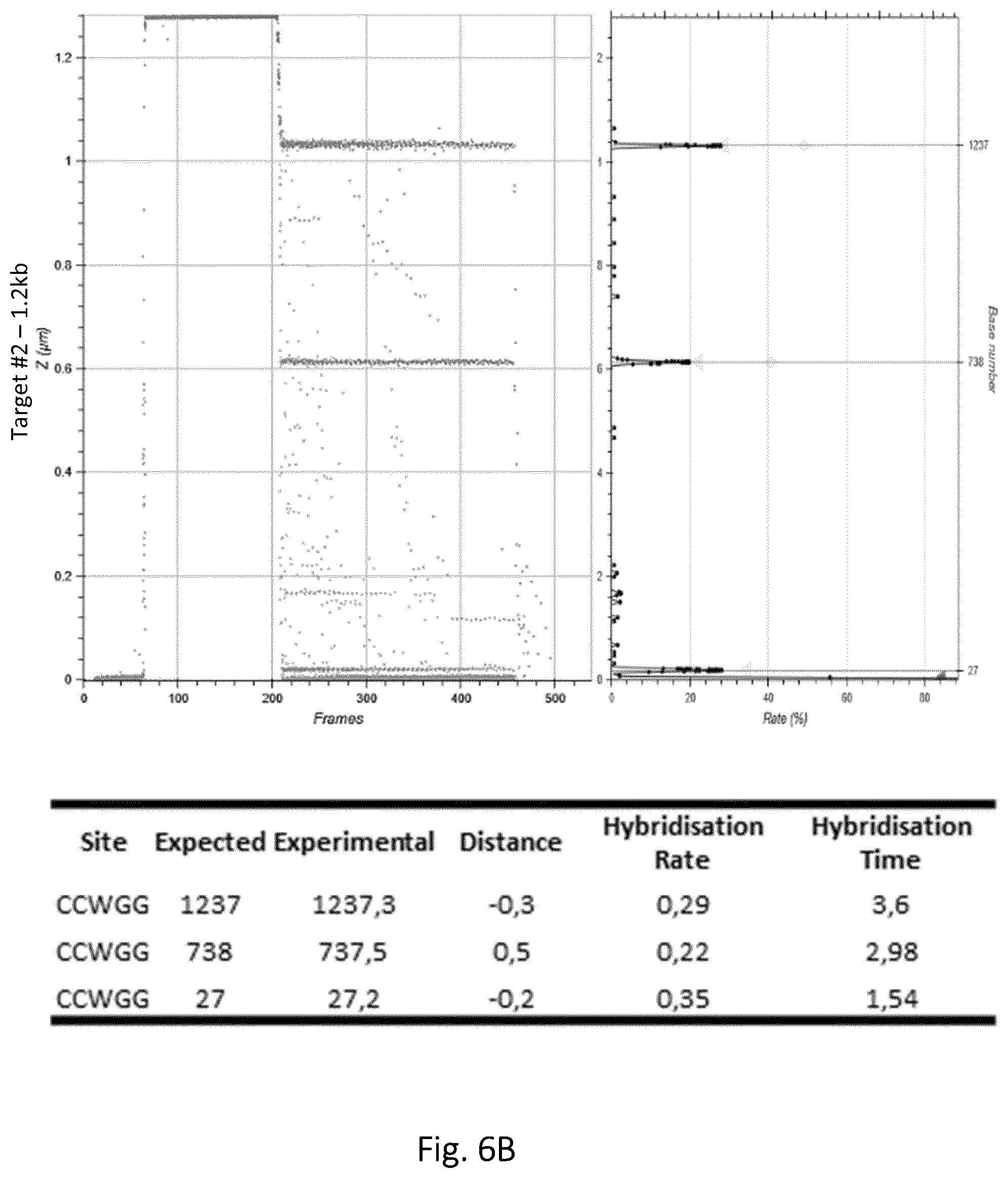 Patent US12305218 Figure 9 – Optimization of in vitro isolation of nucleic acids using site-specific nucleases