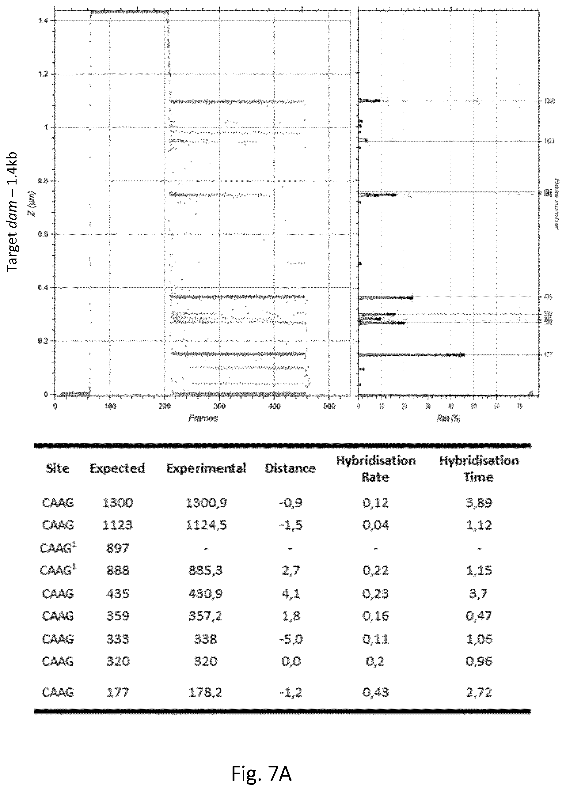 Patent US12305218 Figure 10 – Optimization of in vitro isolation of nucleic acids using site-specific nucleases