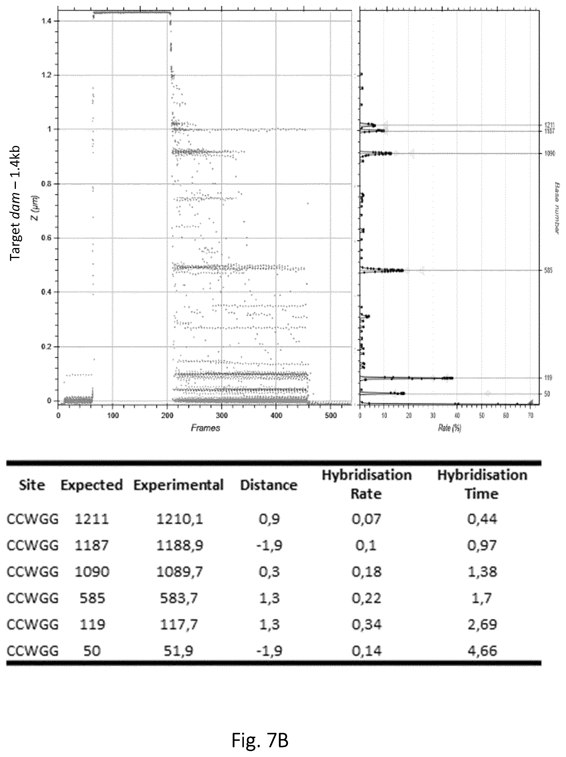 Patent US12305218 Figure 11 – Optimization of in vitro isolation of nucleic acids using site-specific nucleases