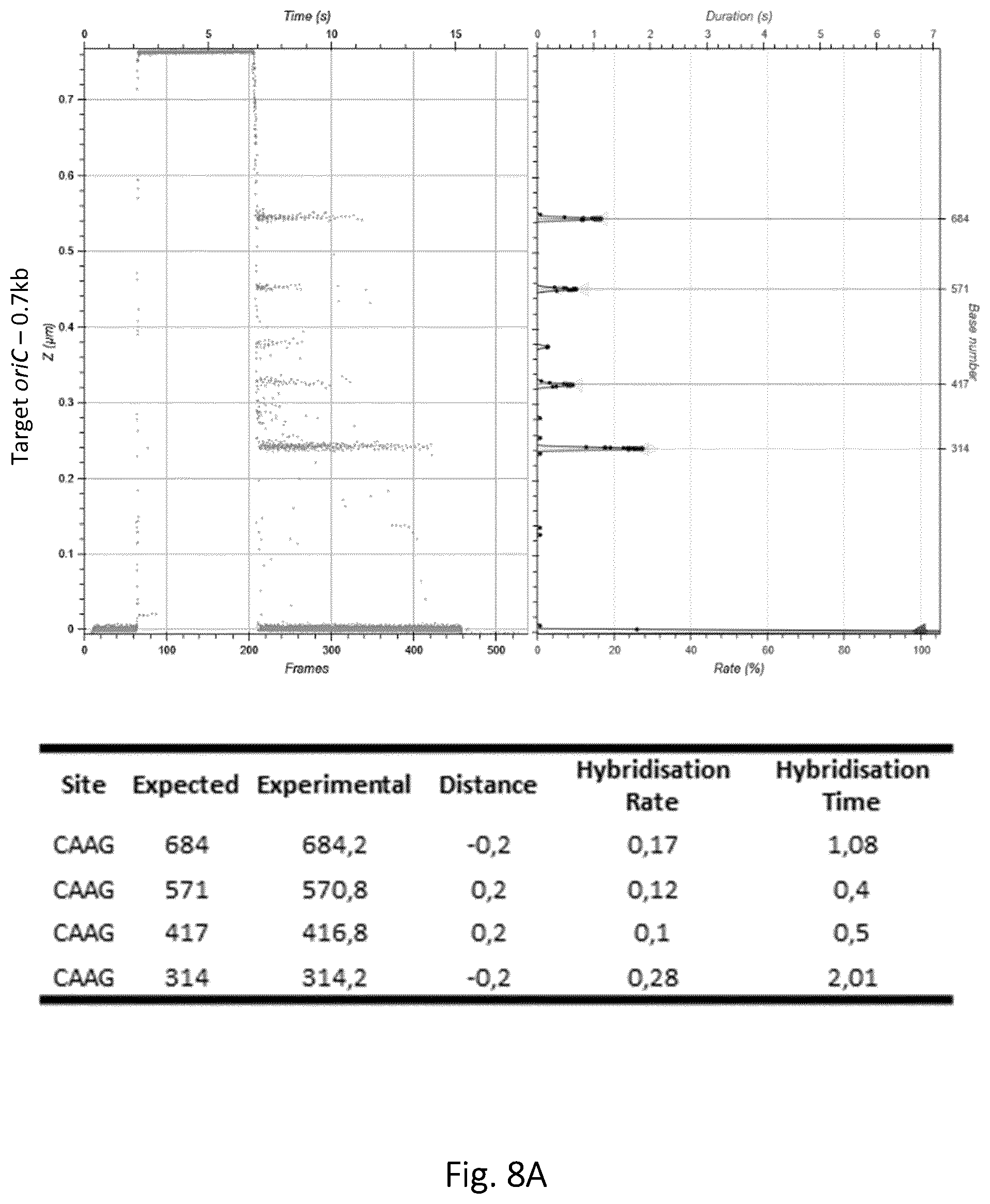 Patent US12305218 Figure 12 – Optimization of in vitro isolation of nucleic acids using site-specific nucleases
