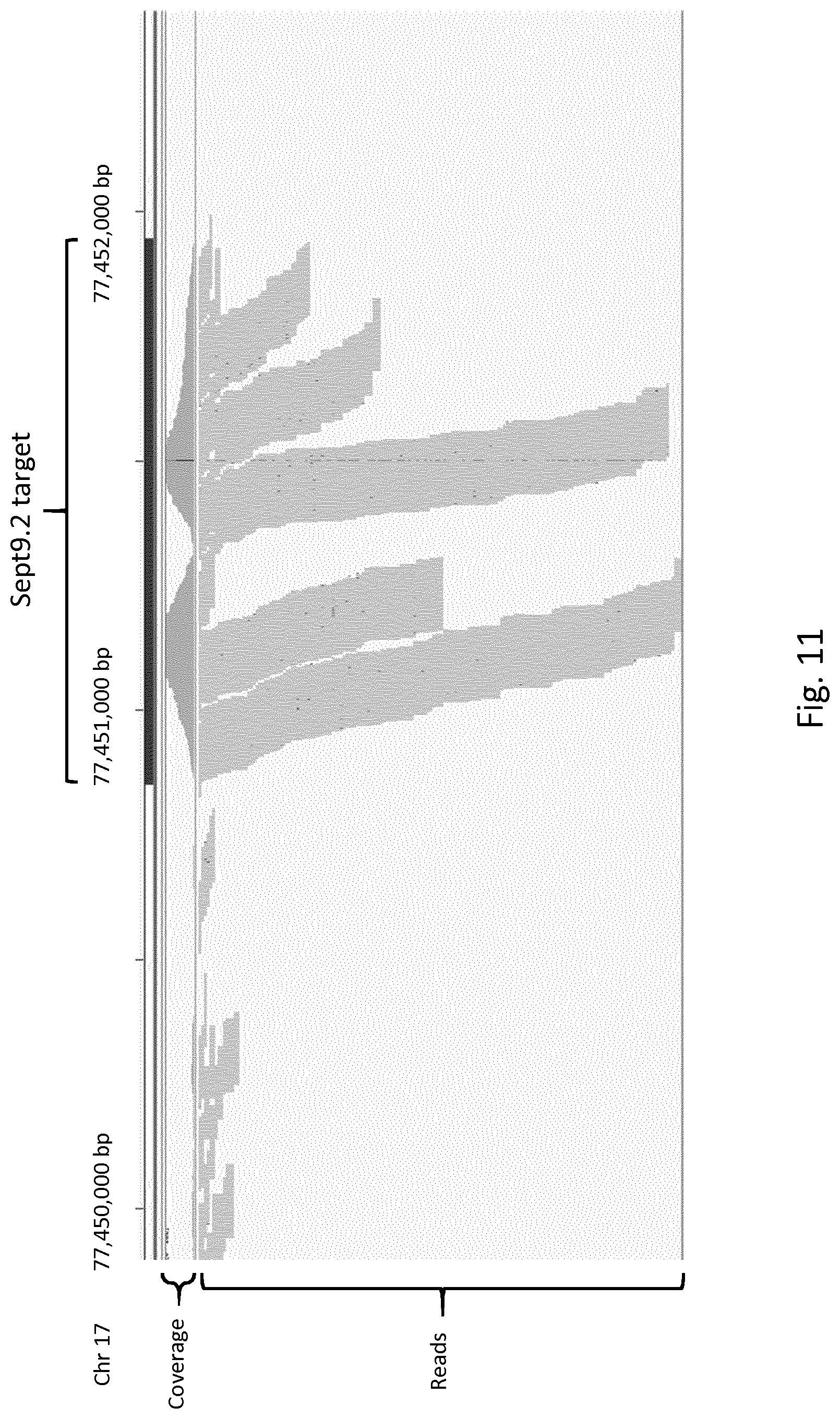 Patent US12305218 Figure 16 – Optimization of in vitro isolation of nucleic acids using site-specific nucleases