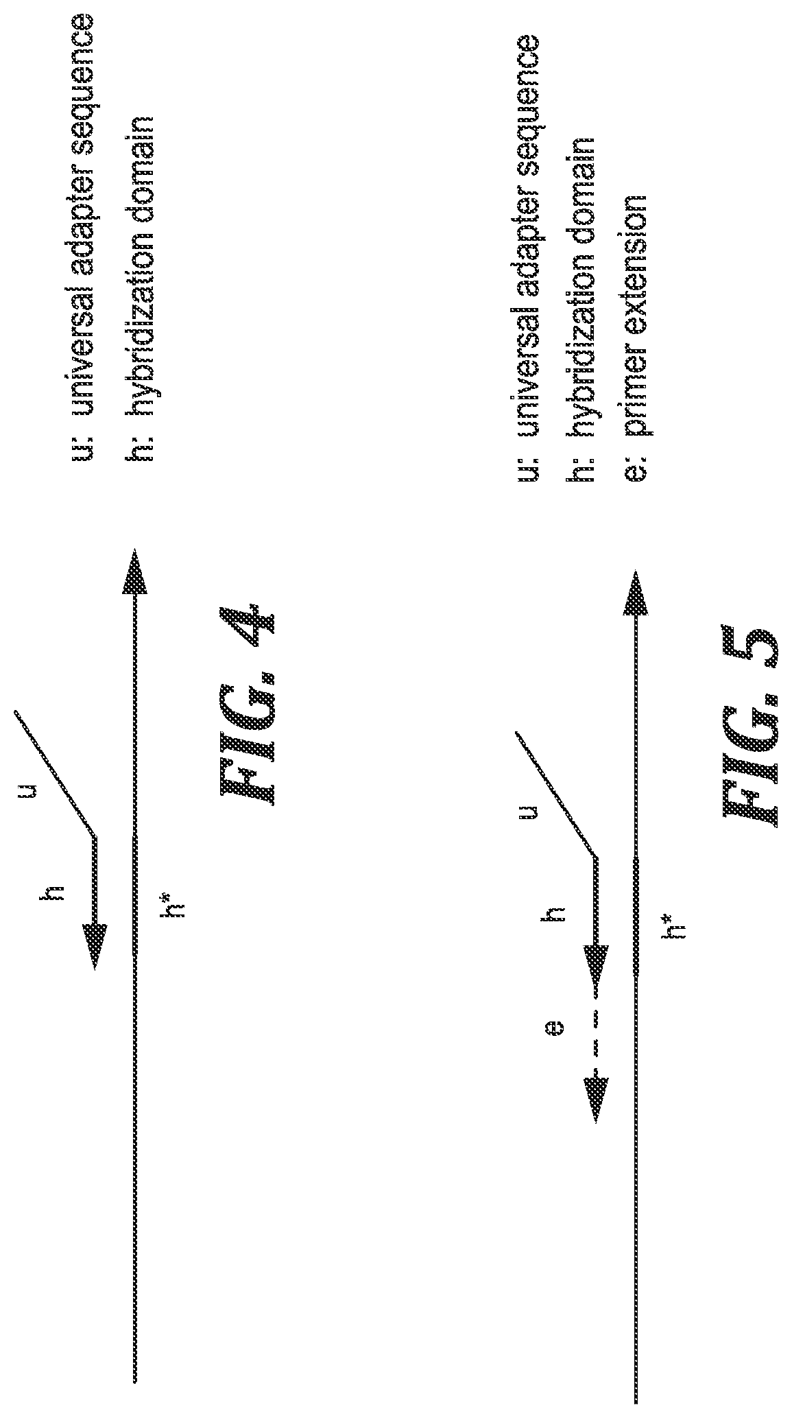 Patent US12305219 Figure 4 – Methods and kits for labeling cellular molecules