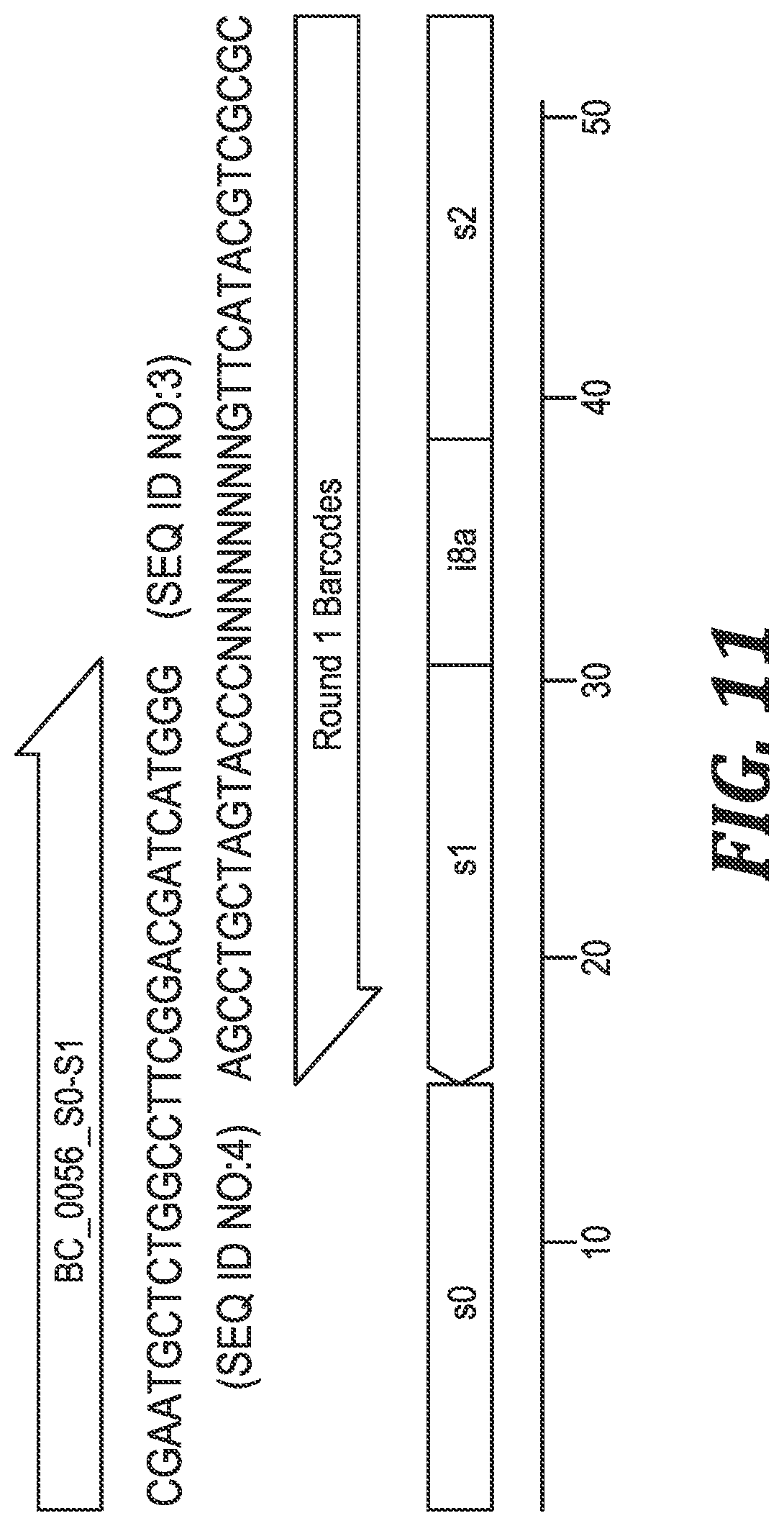Patent US12305219 Figure 8 – Methods and kits for labeling cellular molecules