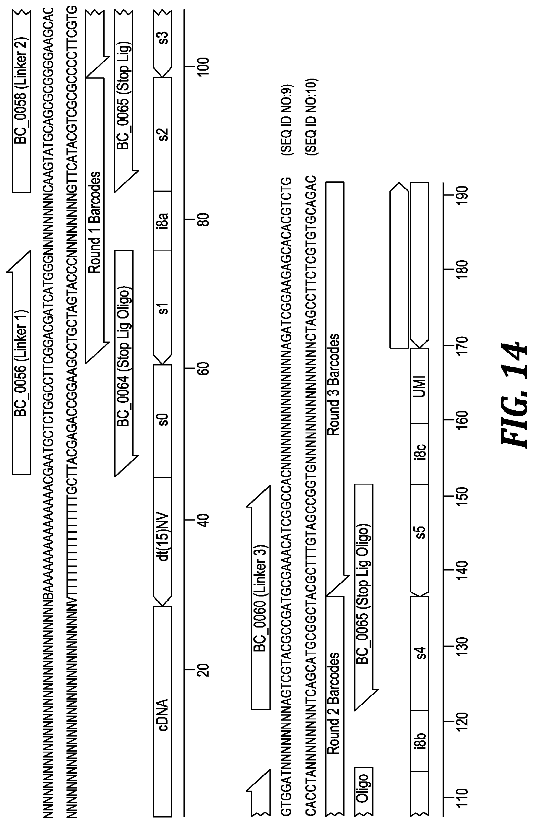Patent US12305219 Figure 11 – Methods and kits for labeling cellular molecules