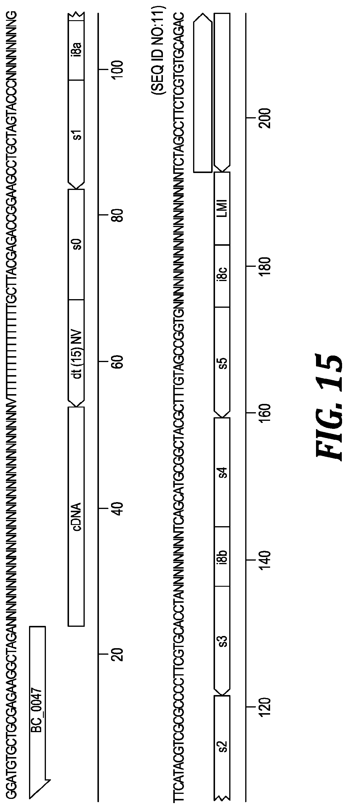 Patent US12305219 Figure 12 – Methods and kits for labeling cellular molecules