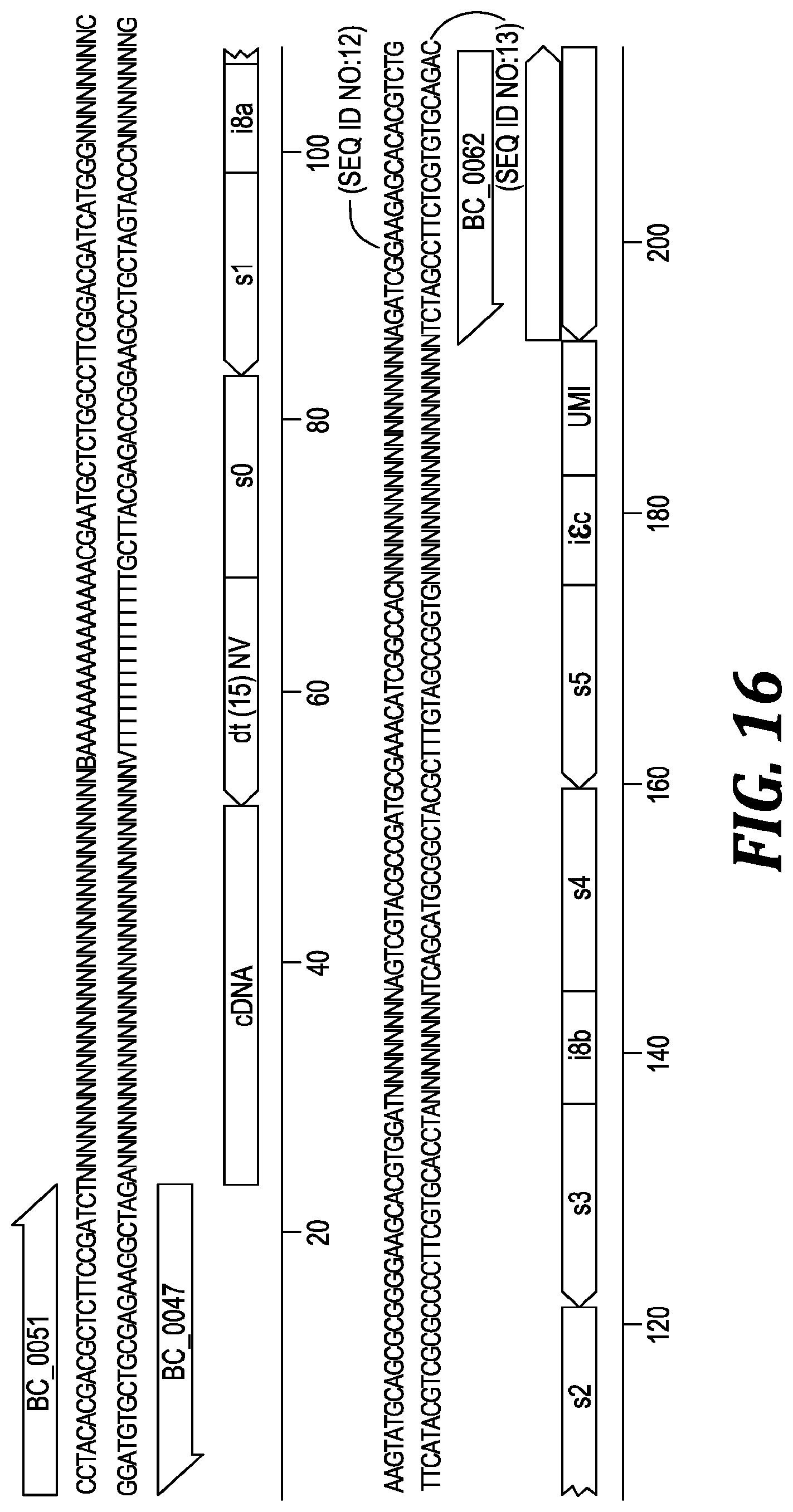 Patent US12305219 Figure 13 – Methods and kits for labeling cellular molecules