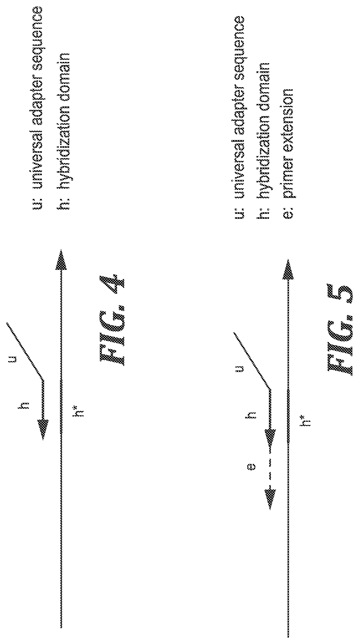 Patent US12305220 Figure 4 – Methods and kits for labeling cellular molecules