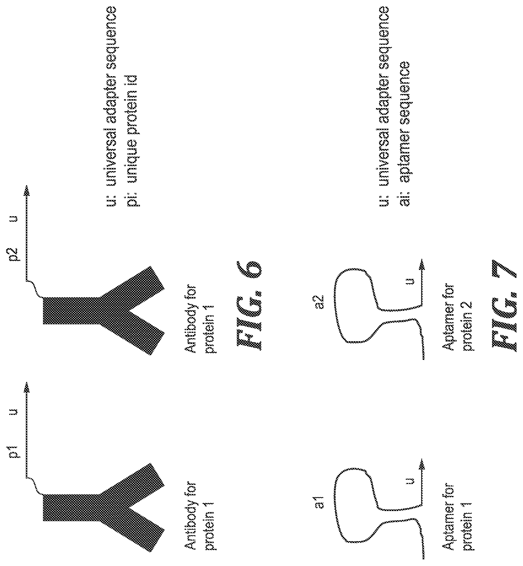 Patent US12305220 Figure 5 – Methods and kits for labeling cellular molecules