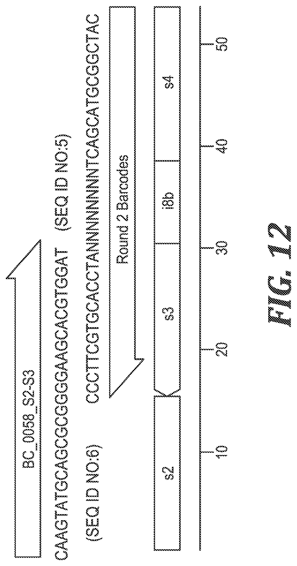 Patent US12305220 Figure 9 – Methods and kits for labeling cellular molecules