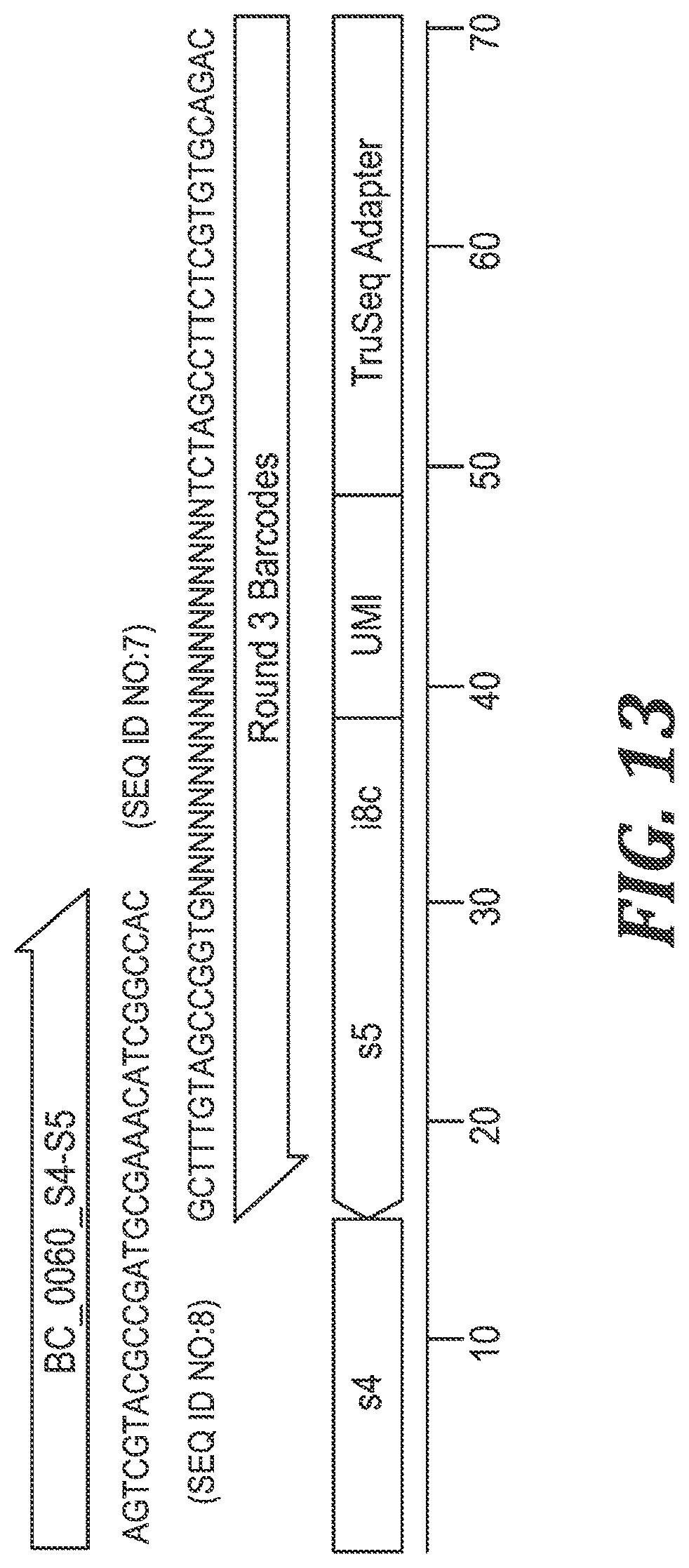 Patent US12305220 Figure 10 – Methods and kits for labeling cellular molecules