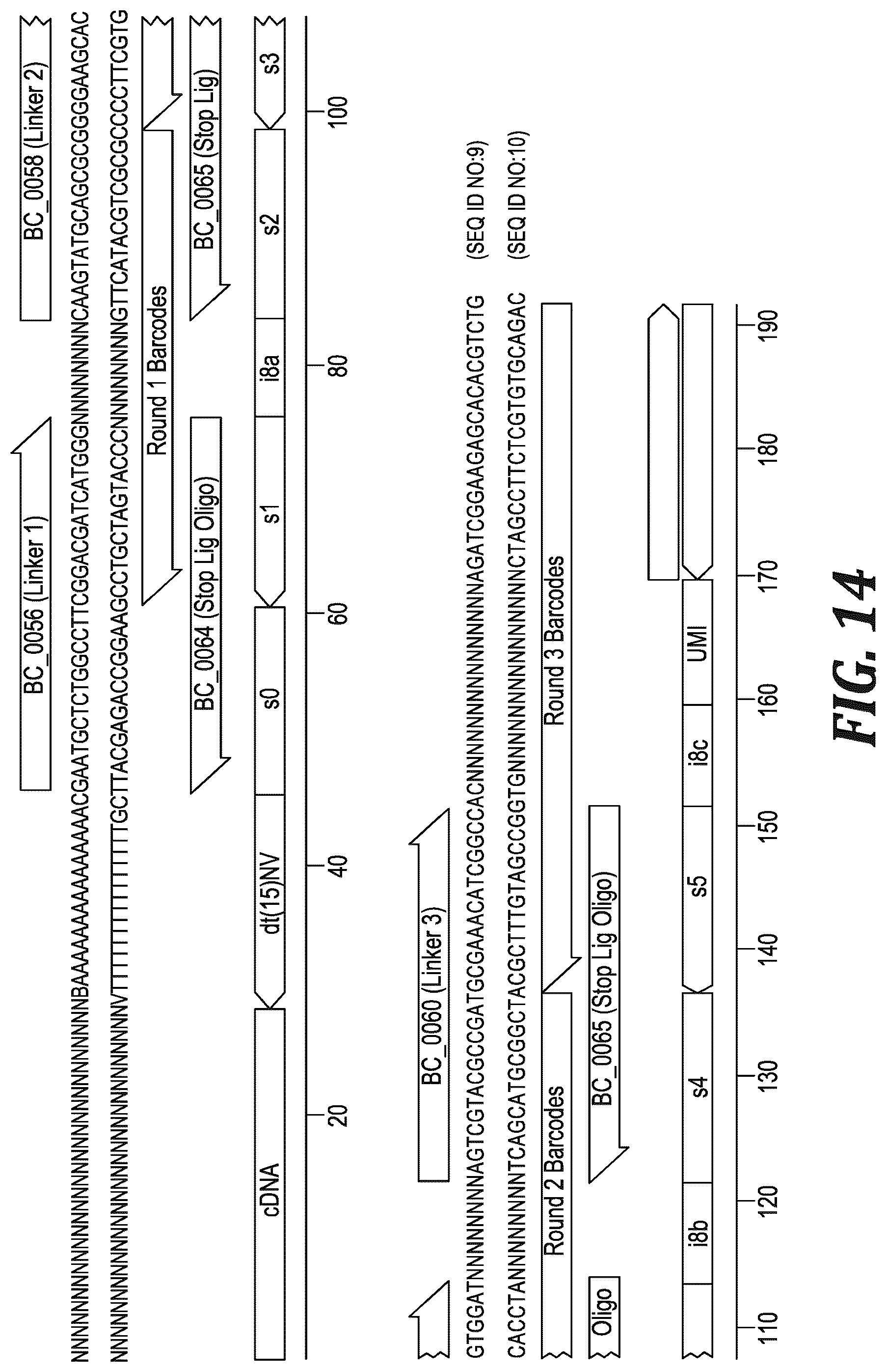 Patent US12305220 Figure 11 – Methods and kits for labeling cellular molecules