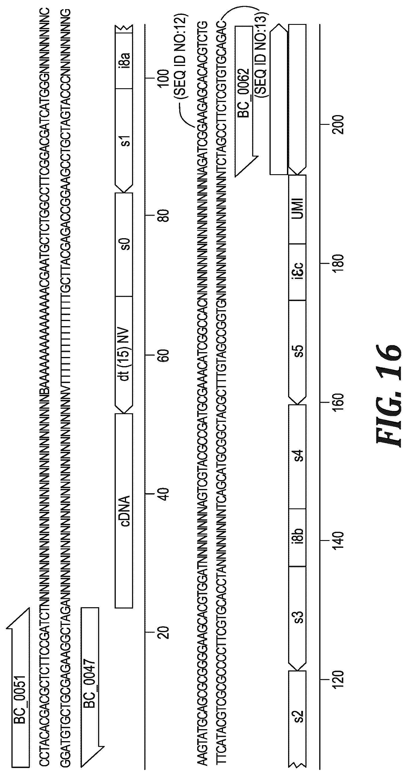Patent US12305220 Figure 13 – Methods and kits for labeling cellular molecules