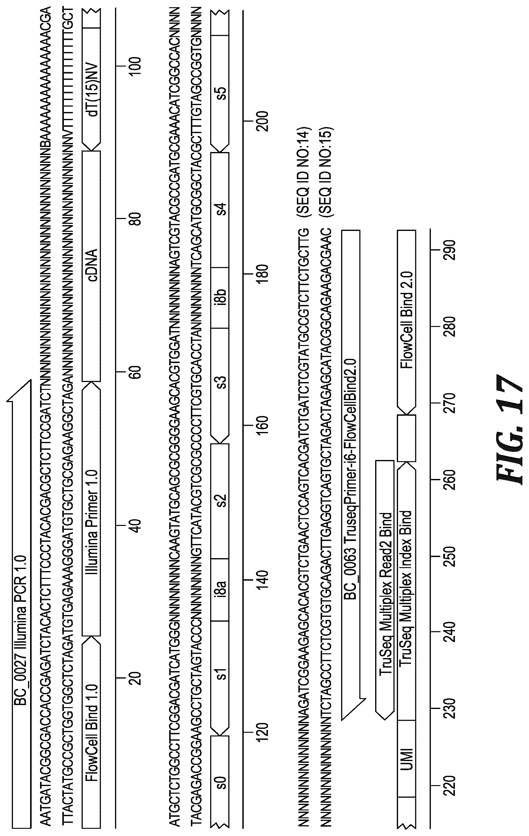 Patent US12305220 Figure 14 – Methods and kits for labeling cellular molecules