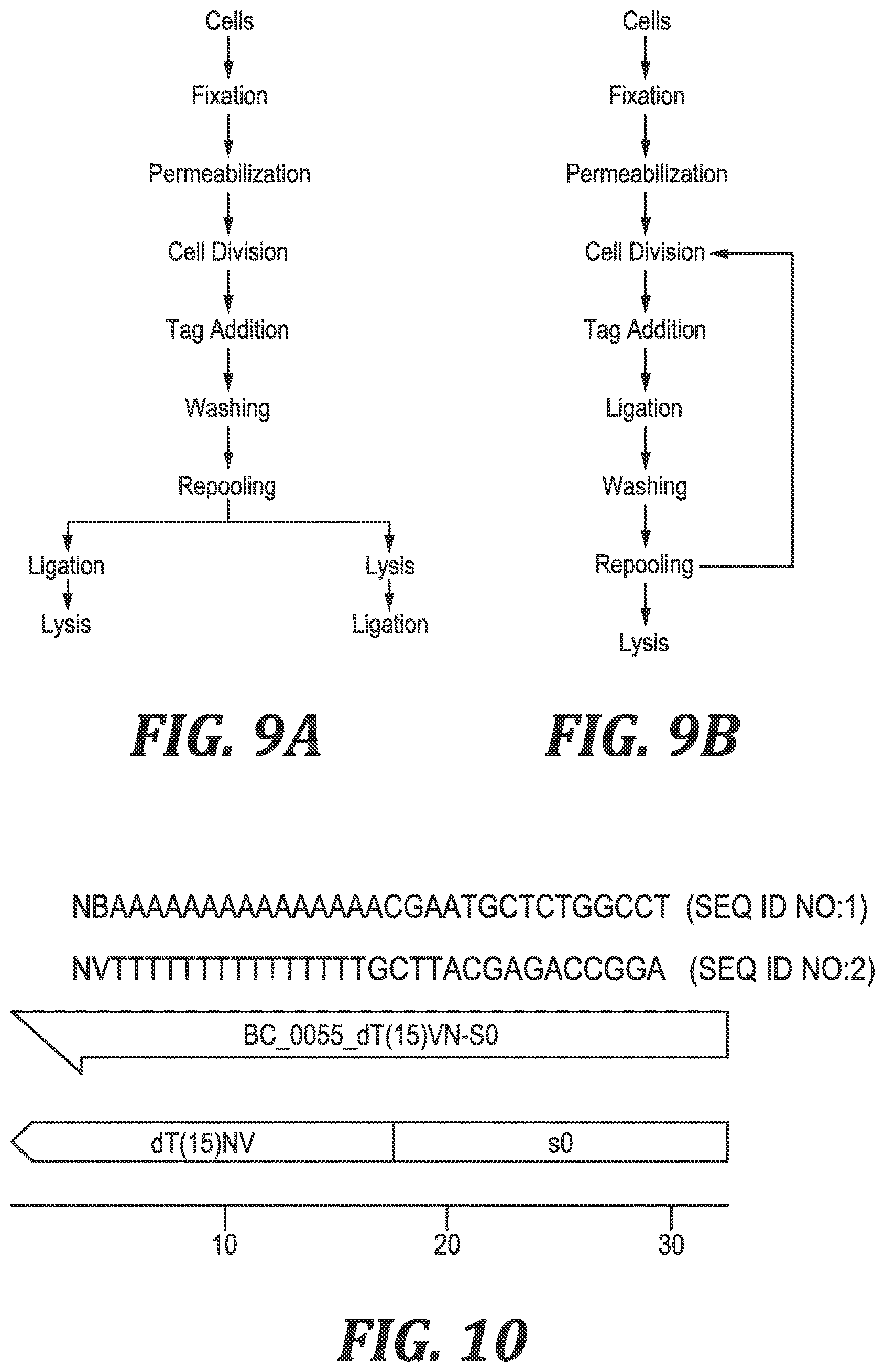 Patent US12305221 Figure 7 – Methods and kits for labeling cellular molecules