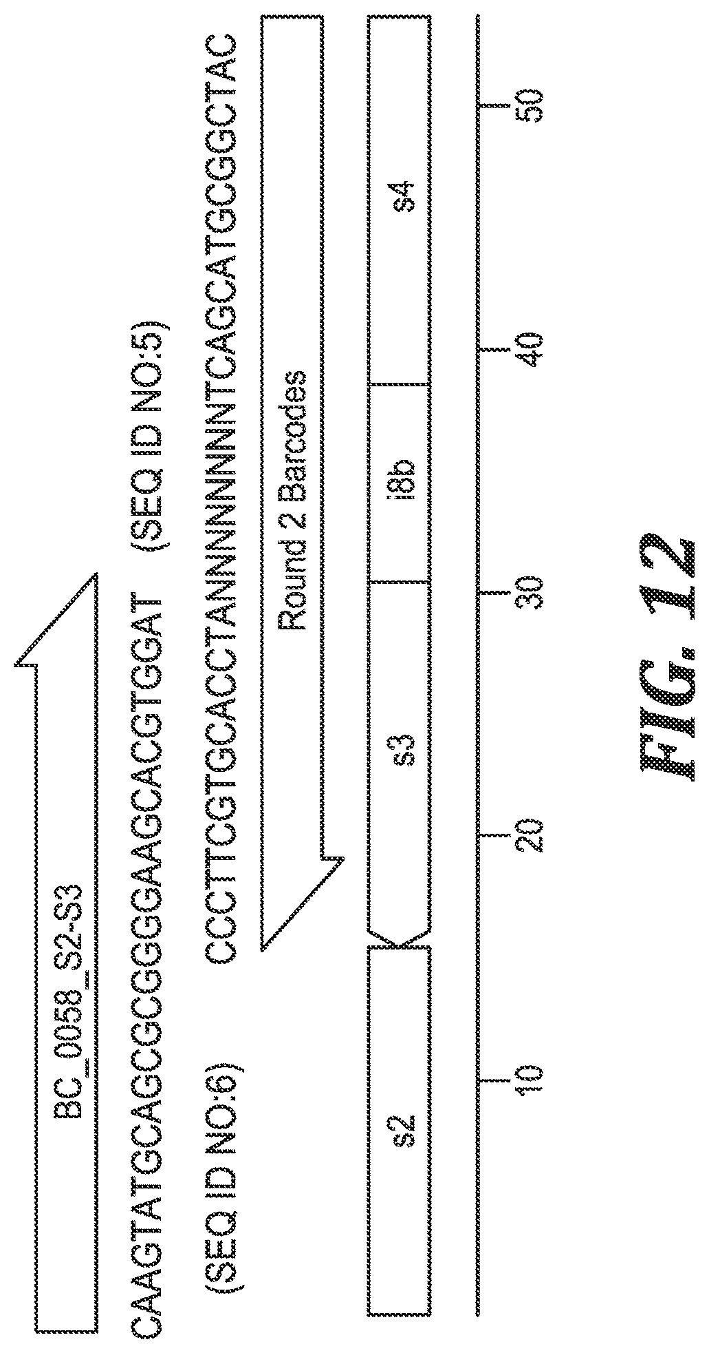 Patent US12305221 Figure 9 – Methods and kits for labeling cellular molecules