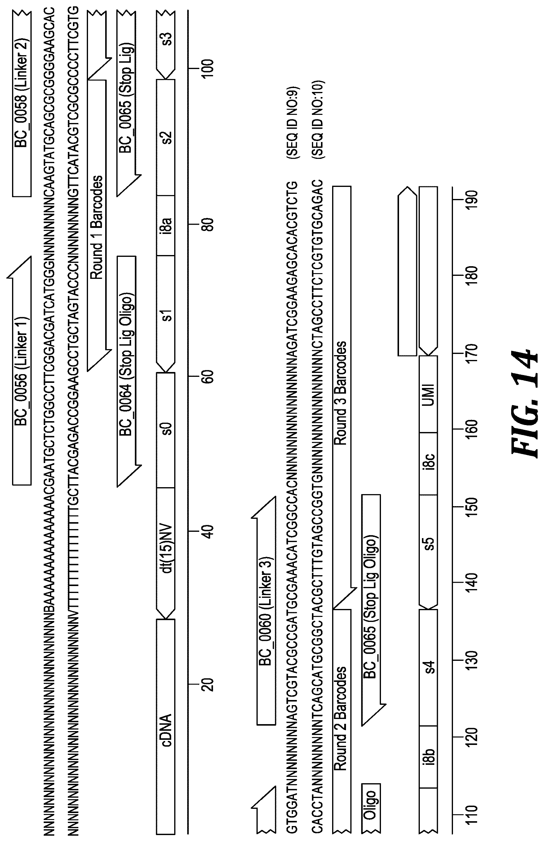 Patent US12305221 Figure 11 – Methods and kits for labeling cellular molecules