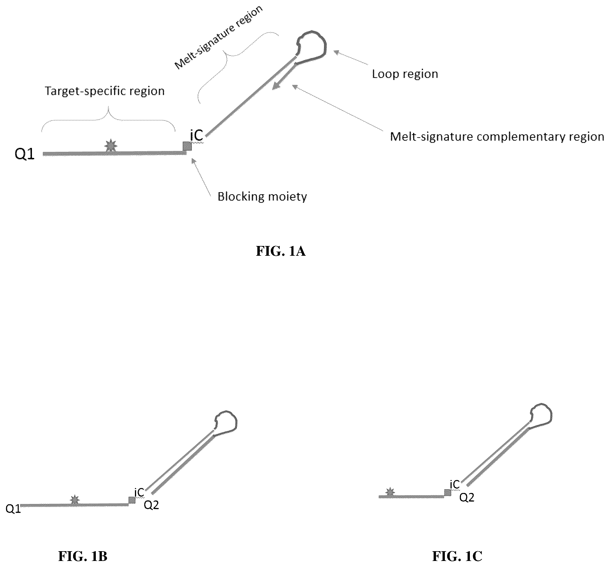 Patent US12305223 Figure 1 – Methods and probes for performing PCR with melt analysis for increased multiplexing