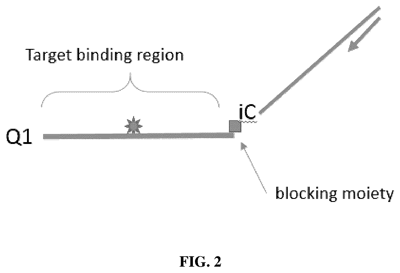 Patent US12305223 Figure 2 – Methods and probes for performing PCR with melt analysis for increased multiplexing