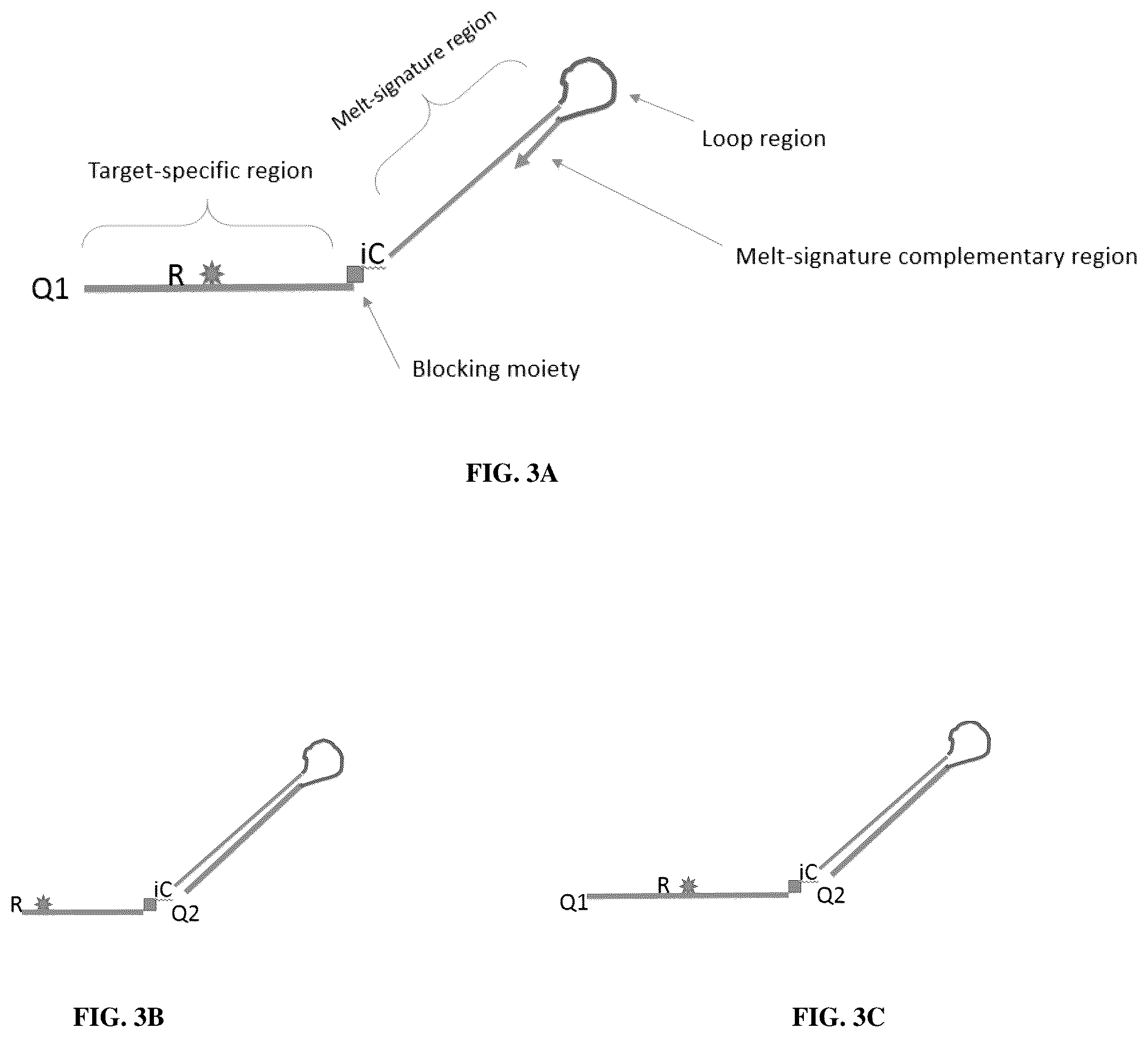 Patent US12305223 Figure 3 – Methods and probes for performing PCR with melt analysis for increased multiplexing