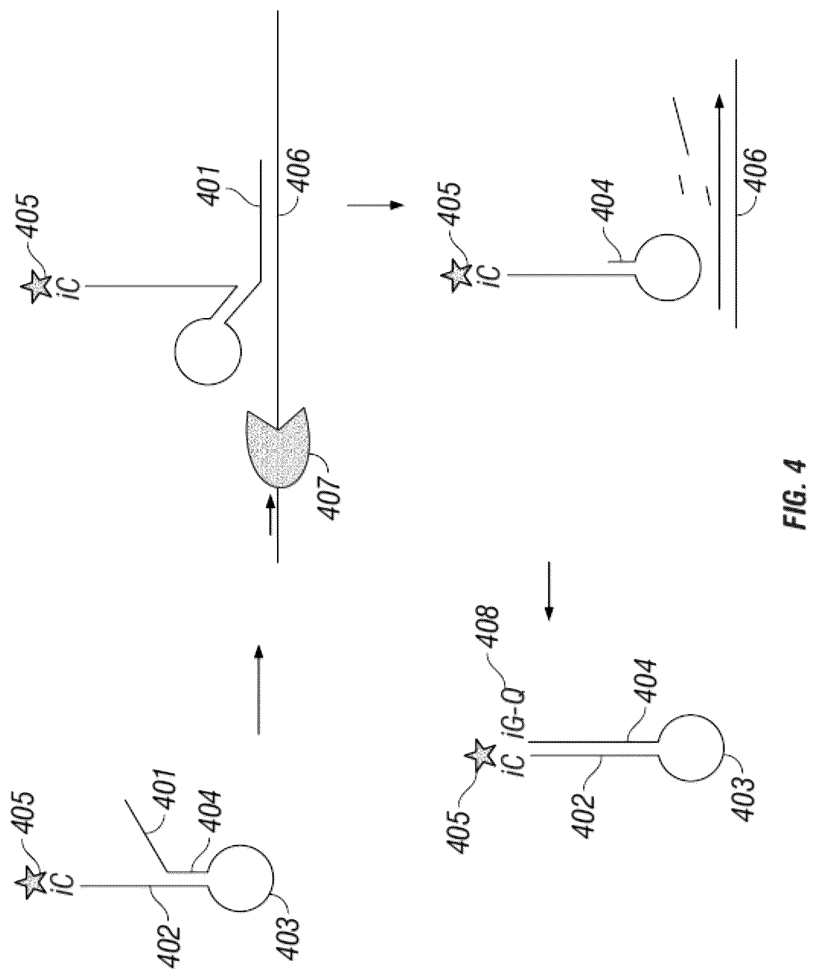 Patent US12305223 Figure 4 – Methods and probes for performing PCR with melt analysis for increased multiplexing