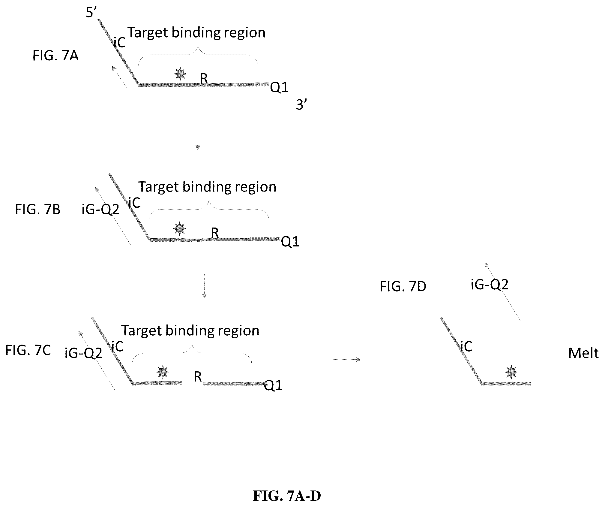 Patent US12305223 Figure 7 – Methods and probes for performing PCR with melt analysis for increased multiplexing