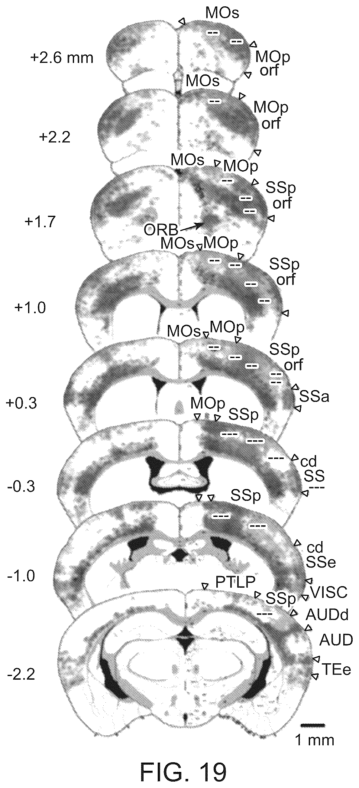 Patent US12305224 Figure 20 – Multiplex labeling of molecules by sequential hybridization barcoding