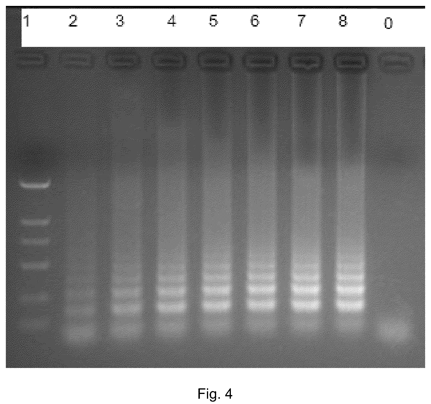 Patent US12305225 Figure 3 – Polymerase mutant and applications thereof