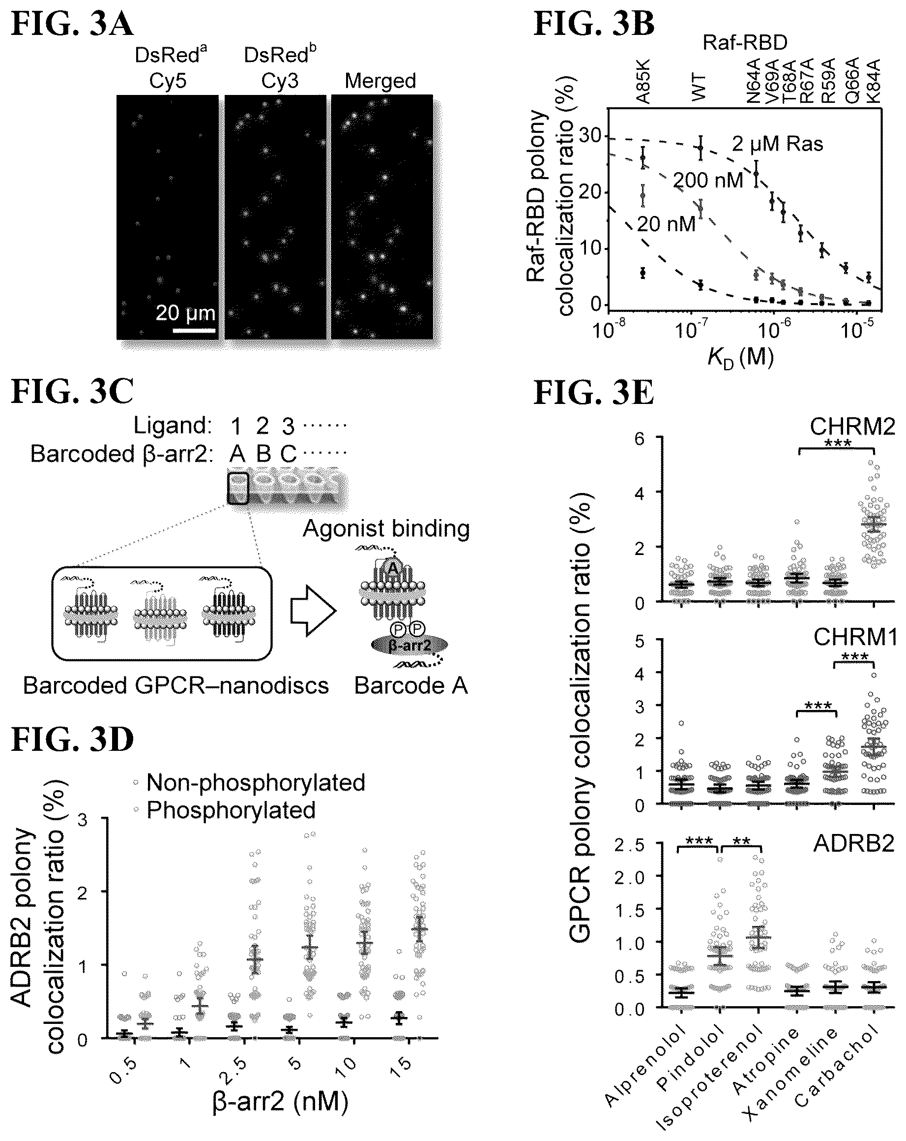 Patent US12305226 Figure 3 – Barcoded protein array for multiplex single-molecule interaction profiling