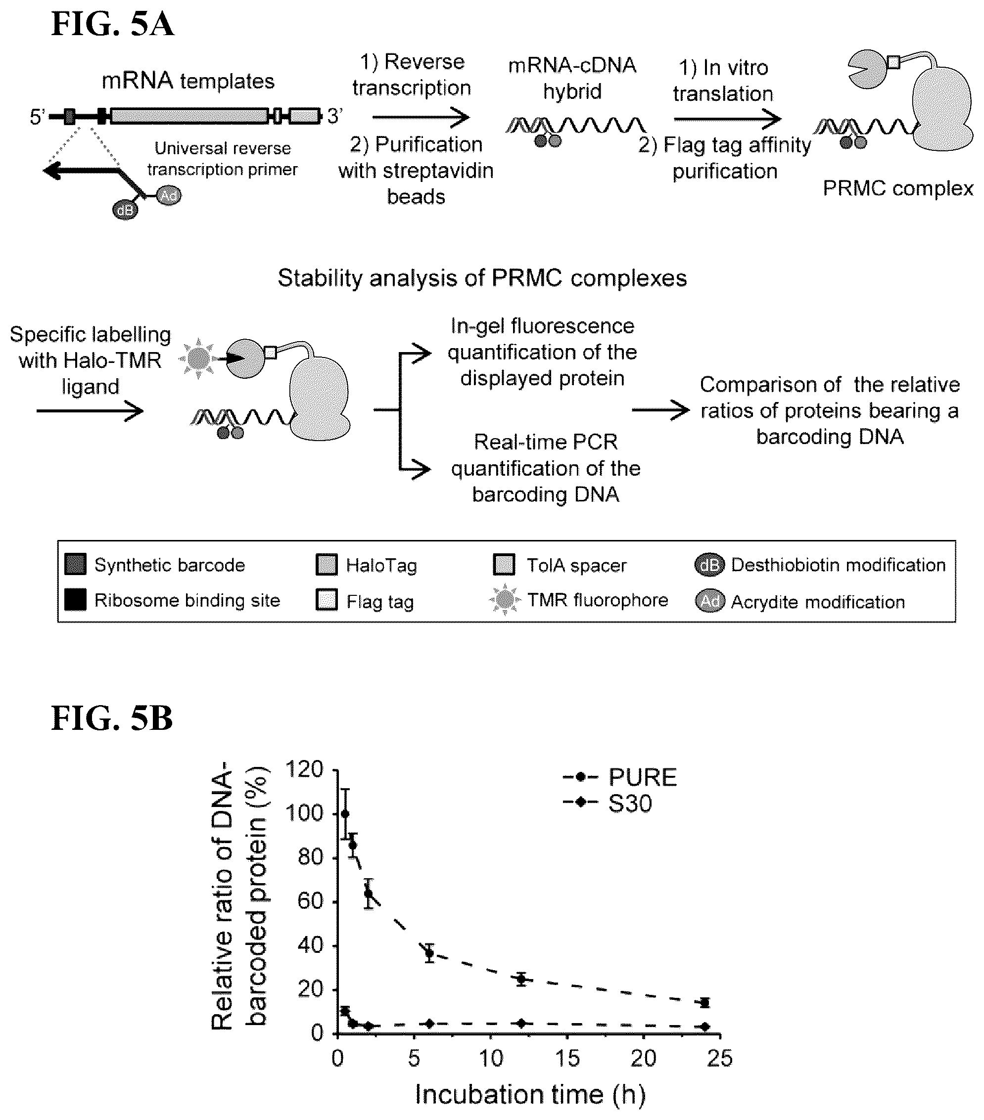 Patent US12305226 Figure 5 – Barcoded protein array for multiplex single-molecule interaction profiling